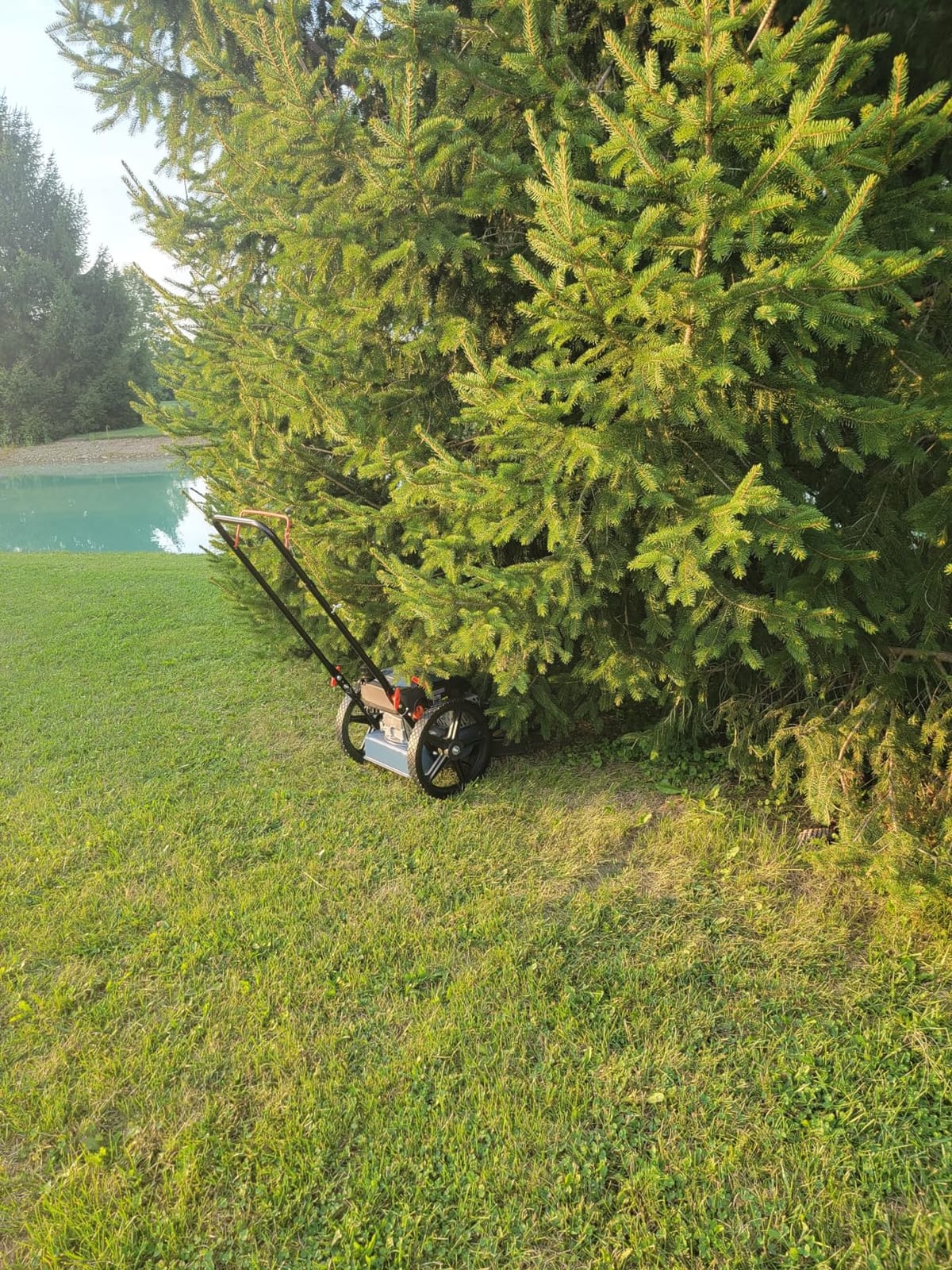 SENIX High Wheel Gas Walk Behind Brush Cutter and String Trimmer, 22-Inch Swatch with .155-Inch Line, 160 cc 4-Cycle Engine, Steel Deck, 14