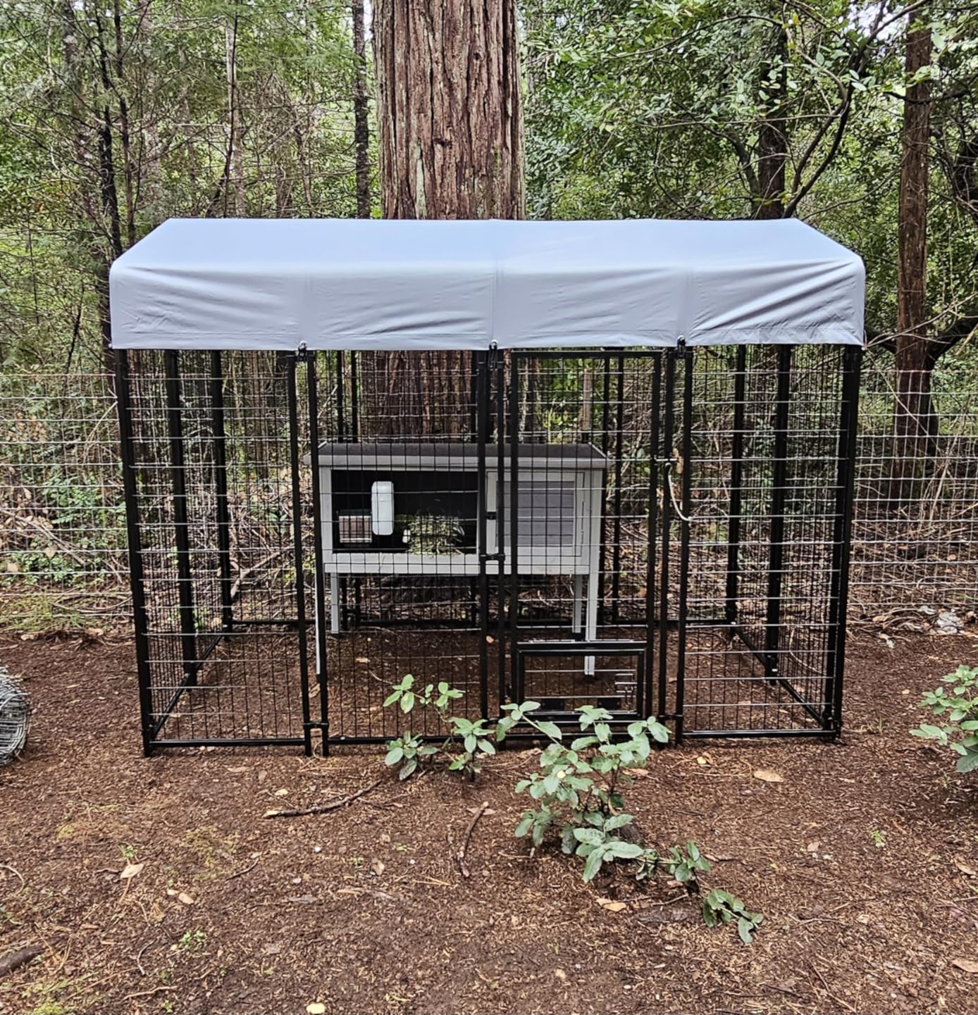 LEMBERI 8x4x6FT Outdoor Dog Kennel, Heavy Duty Galvanized Steel Escape-Proof Dog Run for Large Dogs, Double-Latch Gate, Reflective Silver Heat Dissipation Waterproof Roof, 2 Stainless Steel Bowls customer photo 1
