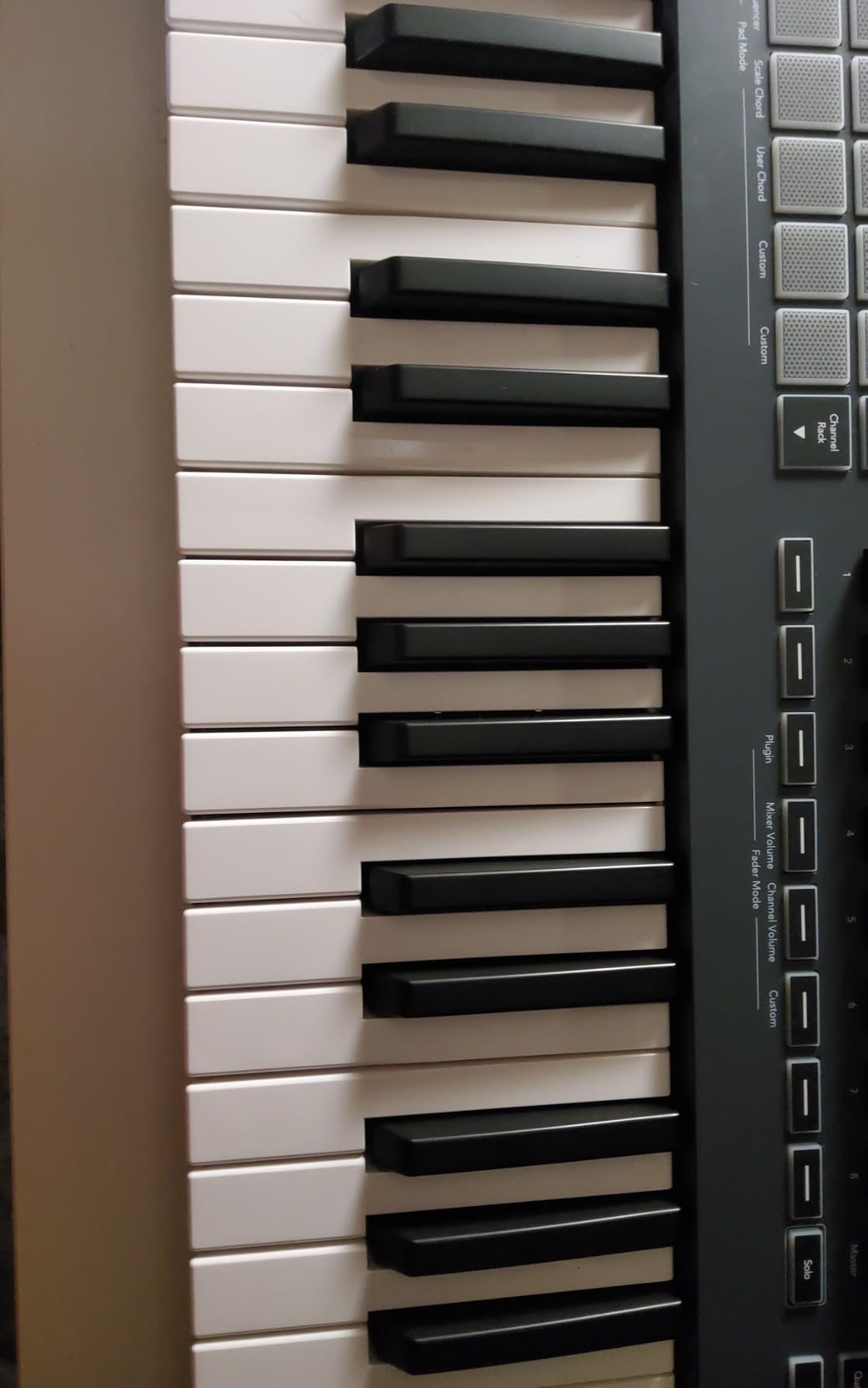 Novation FLkey 61 USB MIDI Controller Keyboard for FL Studio customer photo 2