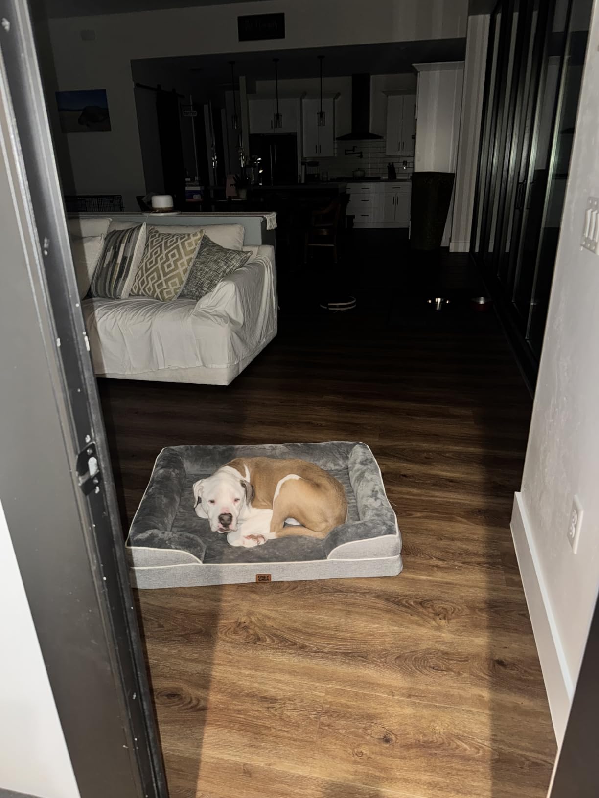 EHEYCIGA Orthopedic Dog Beds for Extra Large Dogs, Waterproof Memory Foam XL Dog Bed with Sides, Non-Slip Bottom and Egg-Crate Foam Big Pet Couch Bed with Washable Removable Cover, Camel customer photo 1