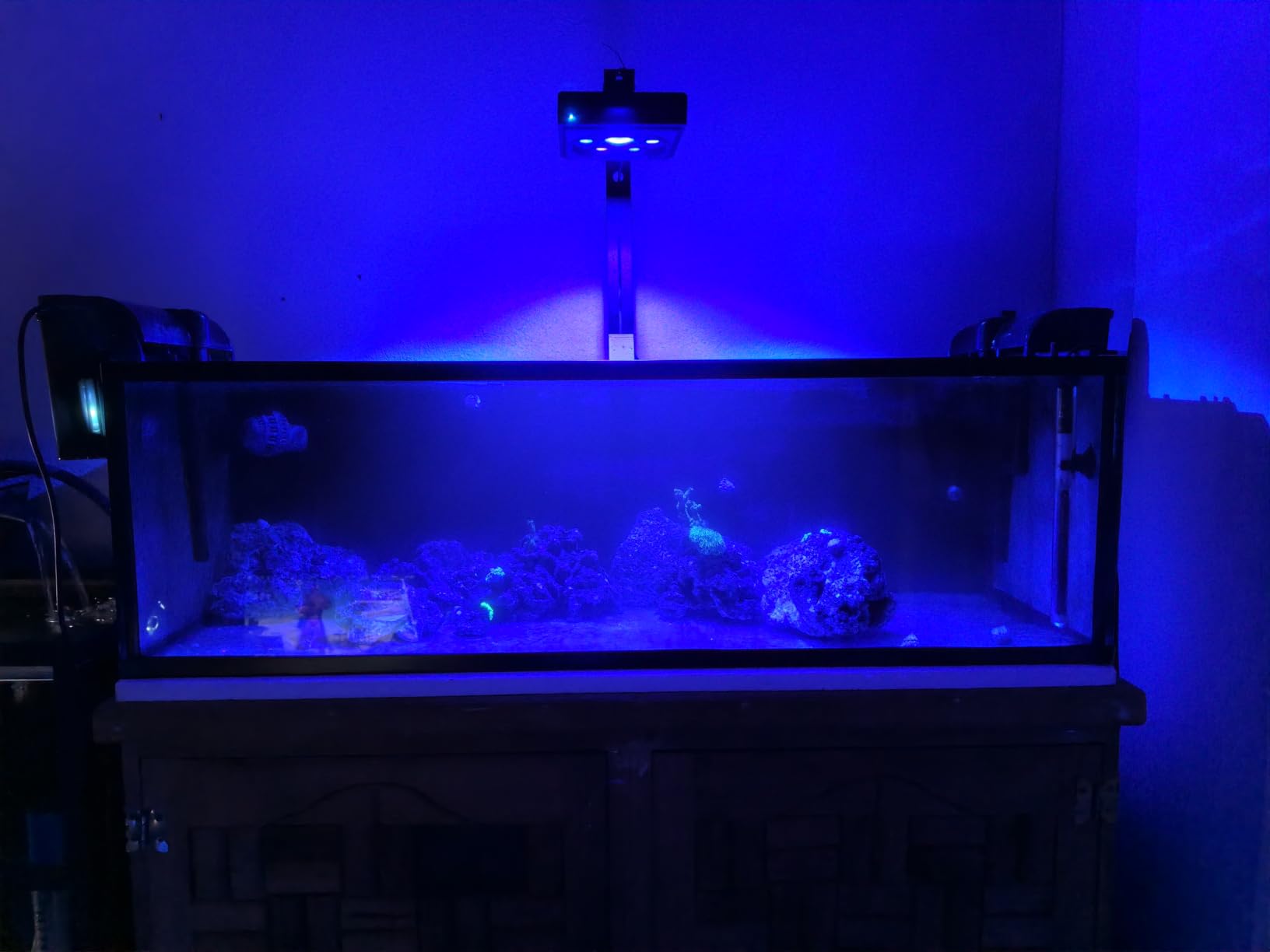 60W LED Reef Light for Saltwater Aquariums Programmable Control | High Penetration Wide Coverage, Sunrise Sunset Moonlight, Master Slave Group Control, Detailed Simulation of Light Cycles customer photo 2