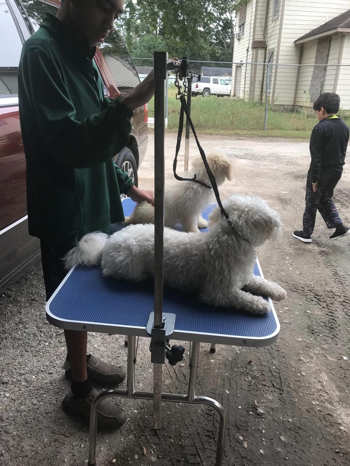 Bonnlo 42.5 inch Hydraulic Dog Grooming Table, Professional Heavy Duty Grooming Table for Dogs, Trimming Table Drying Table w/Arm/Noose customer photo 1