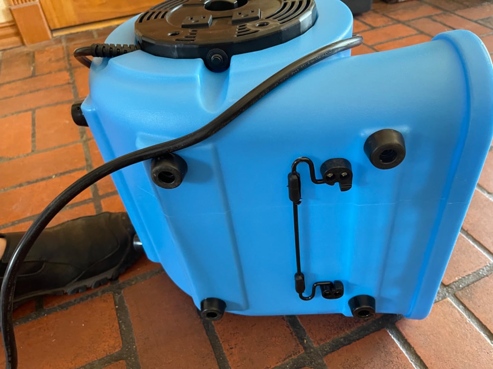 blessny 1/2 HP ETL Listed Carpet Dryer Air Blower Fan for Home Drying | 2600 CFM, 15 Ft Long Cord with 3-Speeds, Portable, Blue customer photo 2