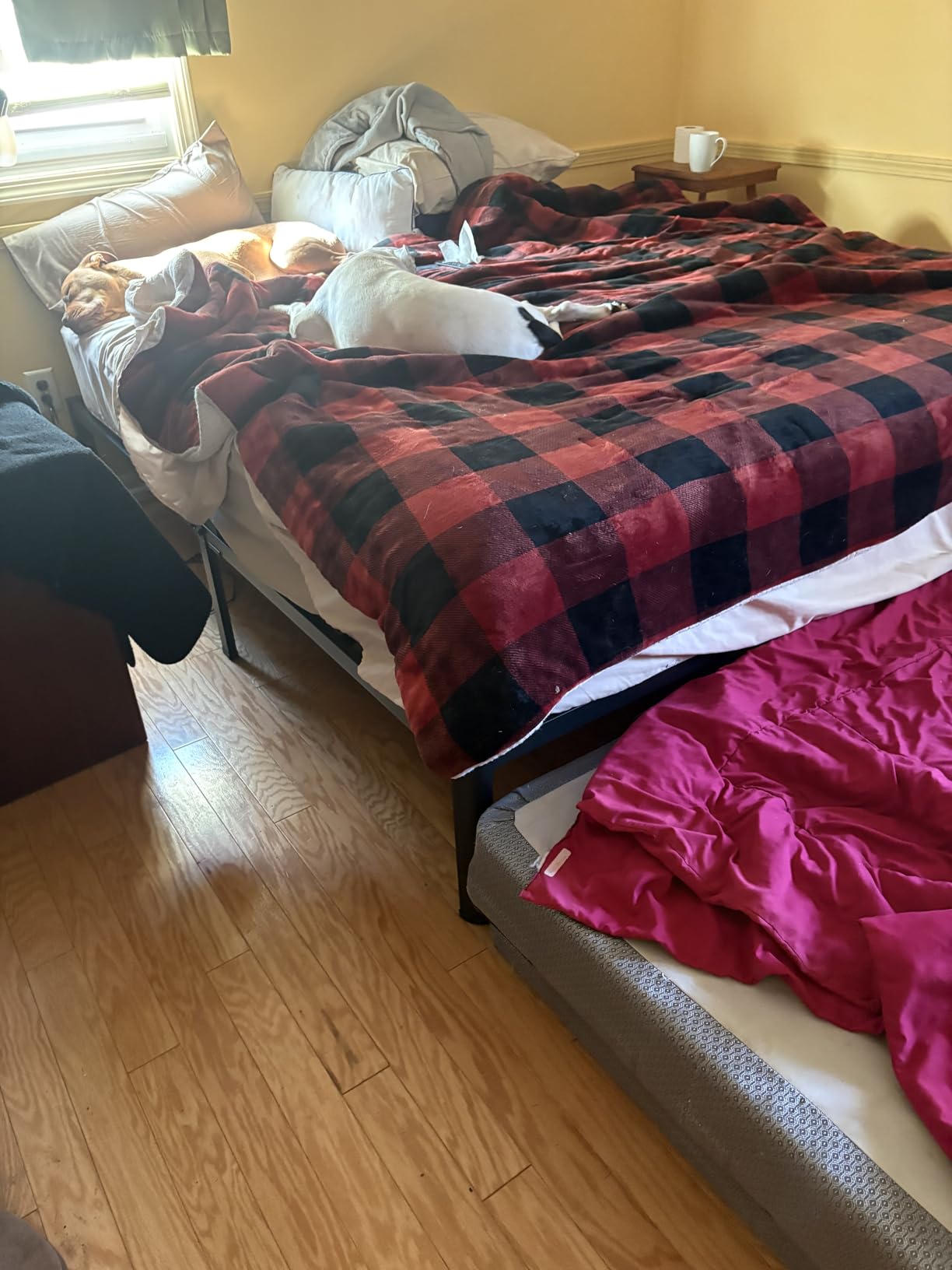 ROIL 14 Inch Queen Bed Frame with Rounded Corner & 4 Mattress Baffles | Easy Assembly, Noise Free, 3500LBS Load Capacity, No Box Spring Needed, 12.4