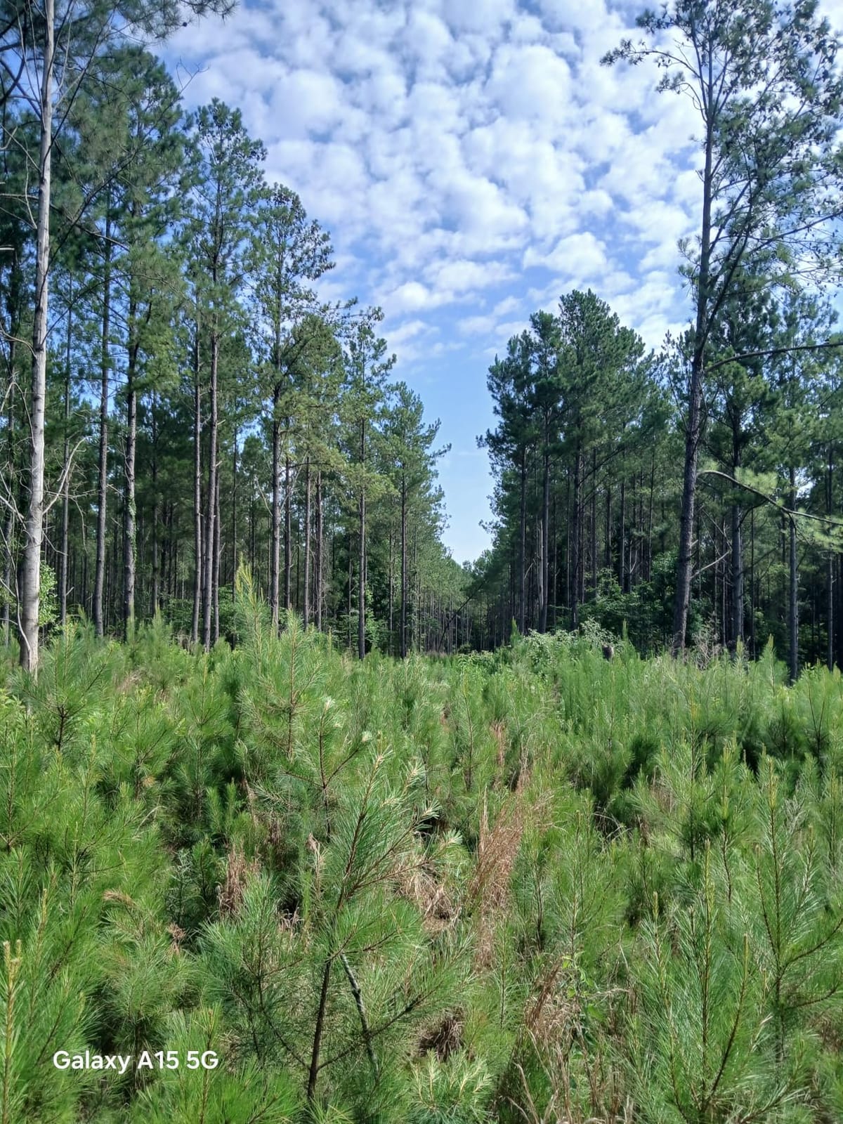 Earthquake Acreage Tow-Behind Mower, 44 Inch Steel Deck, 17.5HP Briggs & Stratton, Electric Start customer photo 2