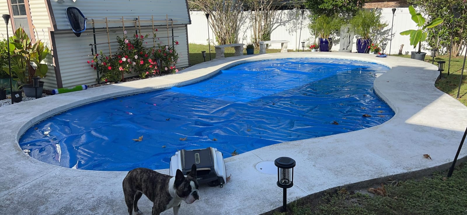 BigXwell Heavy-Duty Solar Pool Cover 16x32ft - 16Mil Blue | Rectangle for Large Inground Pools, Heat-Retaining, Cuts Evaporation 95%, Blocks Leaves & Debris, Easy to Trim to Fit customer photo 1
