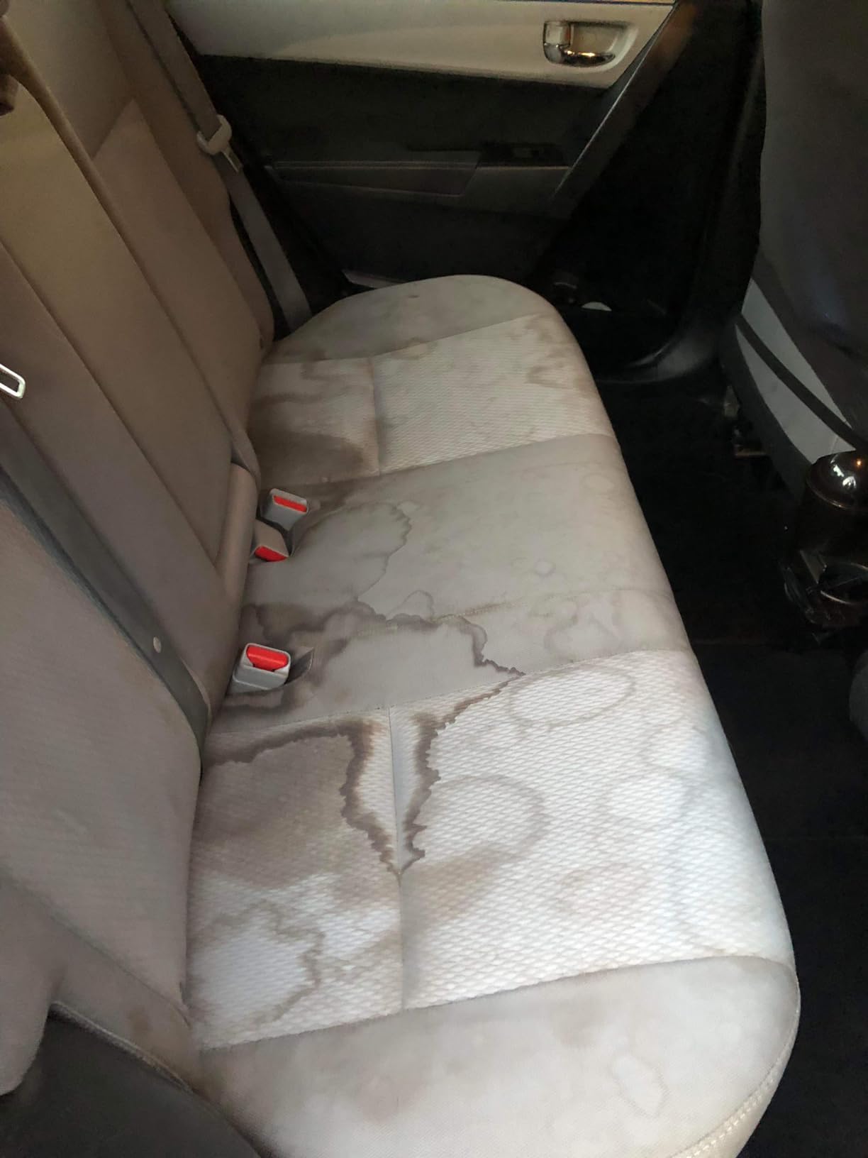 Hoover ONEPWR CleanSlate Cordless Portable Carpet + Upholstery Spot Cleaner | Powerful Suction, Versatile Tools, Car and Auto Detailer, Pair with Hoover Spot & Upholstery Cleaner Solution customer photo 2