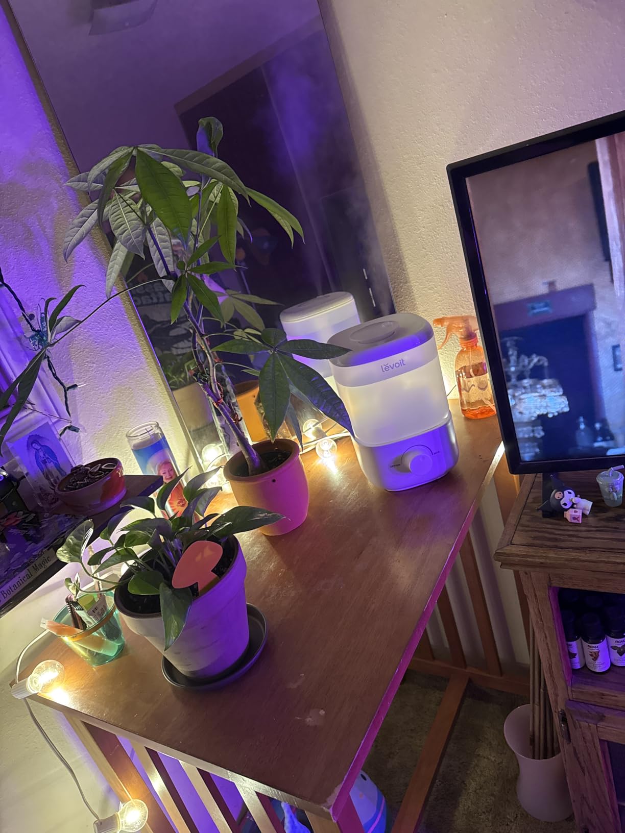 Levoit 3L Dual 200S Smart Humidifiers for Bedroom, Top Fill, Quiet, Blue | Customize Humidity for Home, Baby Nursery & Plants with Humidistat, Essential Oil Diffuser, Timer, APP & Voice Control customer photo 1