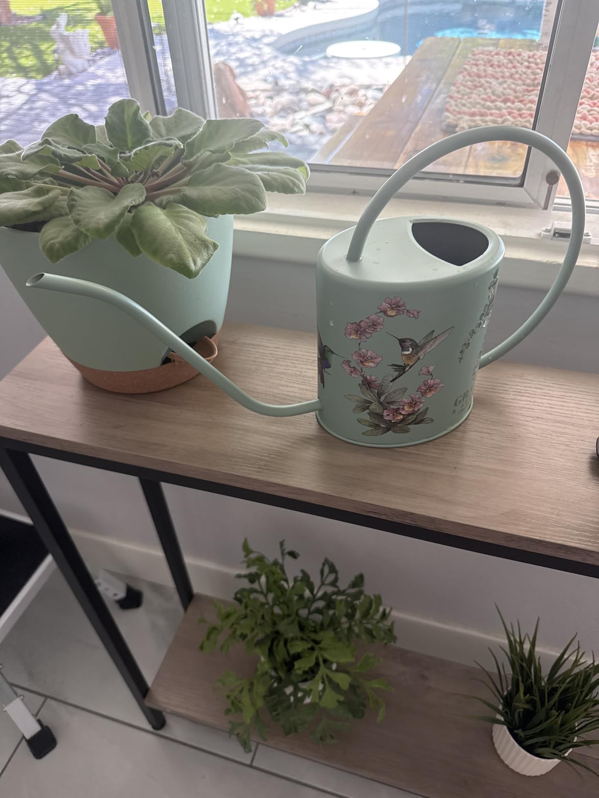 Indoor Watering Can & Mist Spray Bottle Set for Indoor Plants - Decorative | Gooseneck Long Spout, Stainless Steel, Rust & Leak Proof, Hummingbird Artwork, Comfort Handle, Plant-Lover Gift, 51floz customer photo 1
