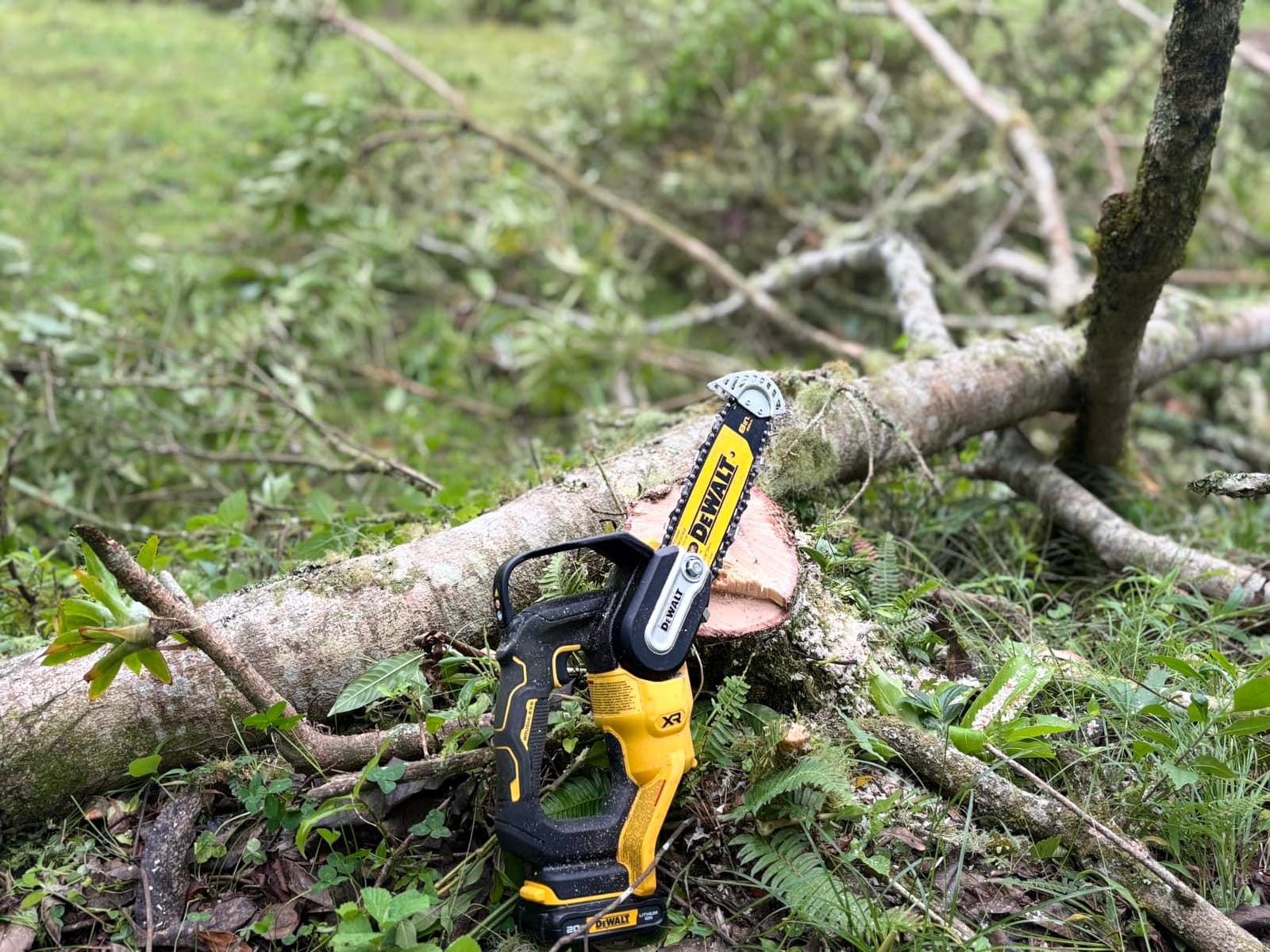 Dewalt Chainsaw Pruning CRDLS 20V 8IN DCCS623B customer photo 2