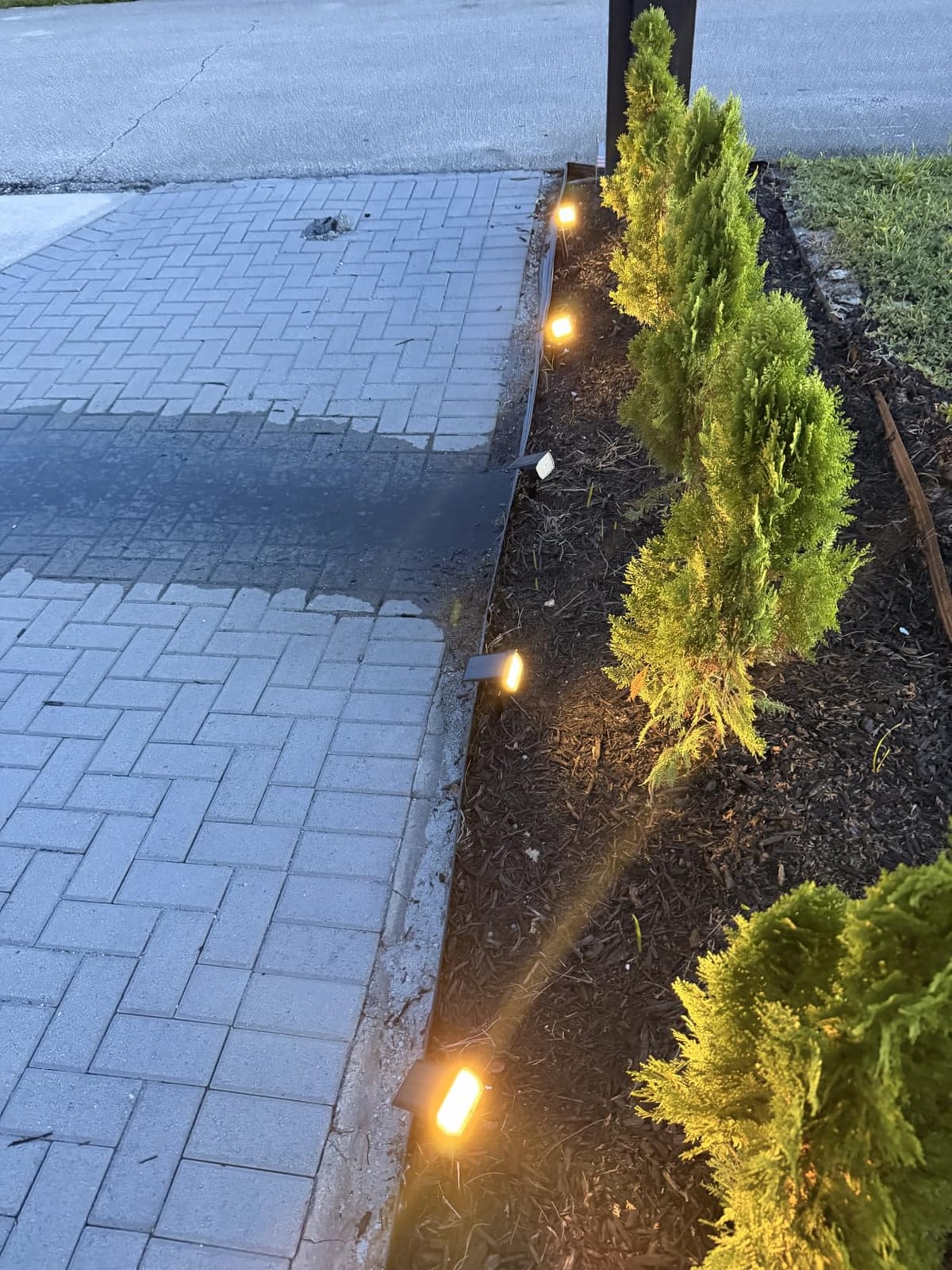 WENATY Solar Spot Lights Outdoor Waterproof IP65, 12 Pack Landscape Spotlights with 46 LEDs, 3 Modes Auto On/Off Solar Powered Flood Lights customer photo 2