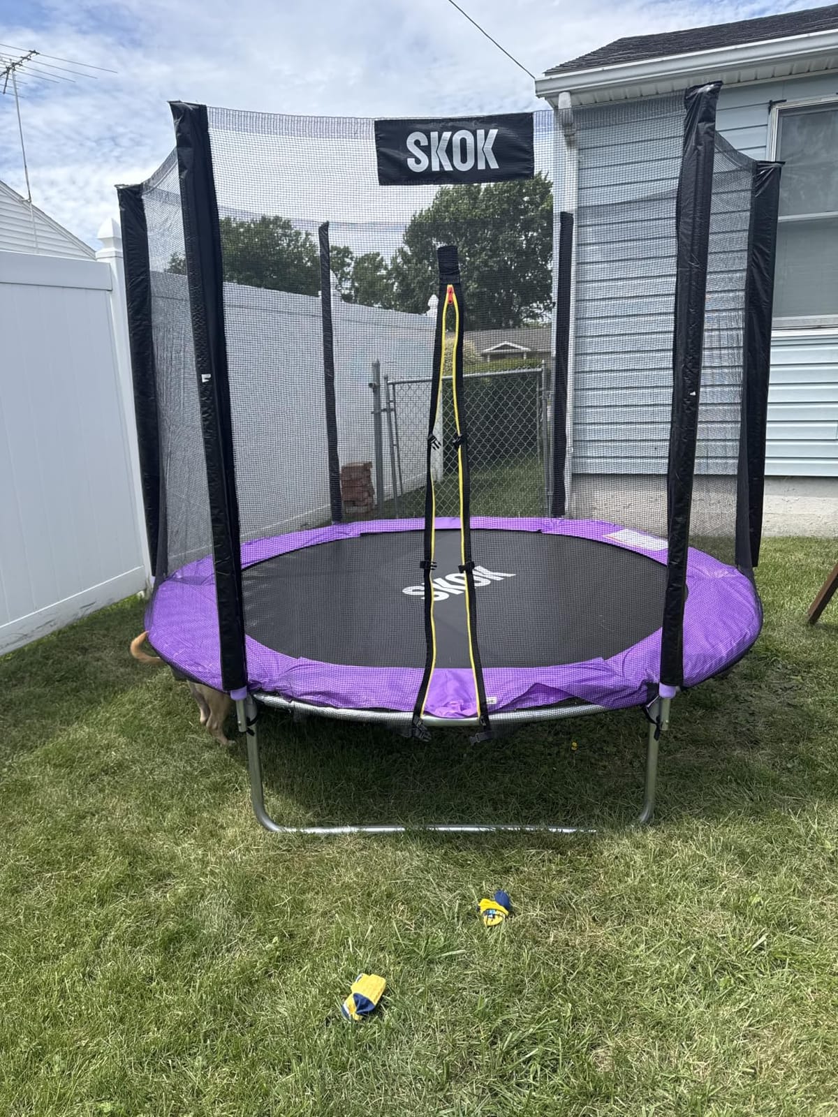 SKOK Trampoline for Kids, 400LBS Outdoor Trampoline with Net - ASTM Approved Trampoline for Children and Adults customer photo 2