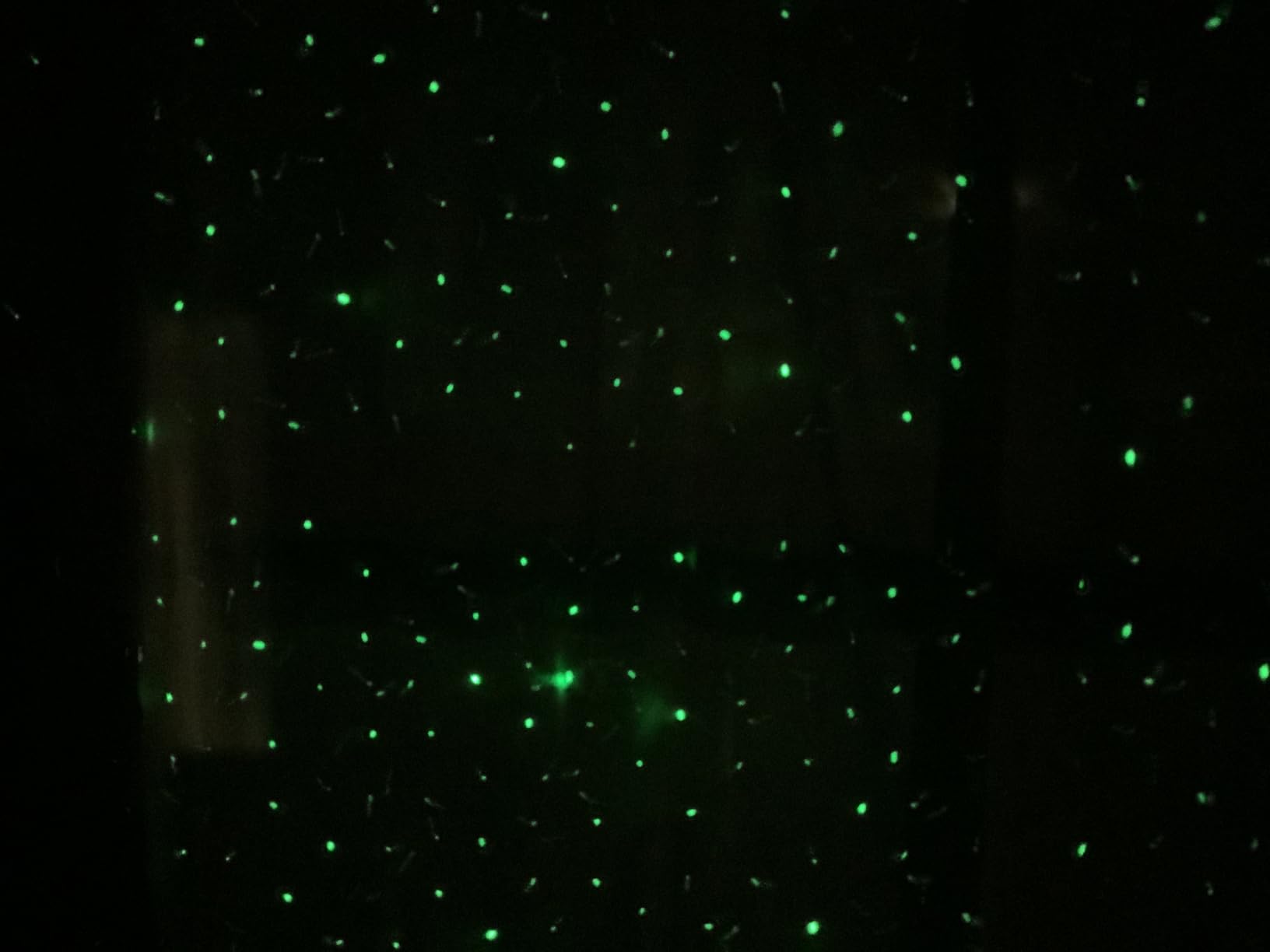 Laser Christmas Projector Lights Outdoor, Firefly Light Show for Trees | 3 Colors,RF Remote, Waterproof, Indoor Holiday Halloween Decoration, Christmas Gift, Wedding, Home Decor, Party, Garden customer photo 2