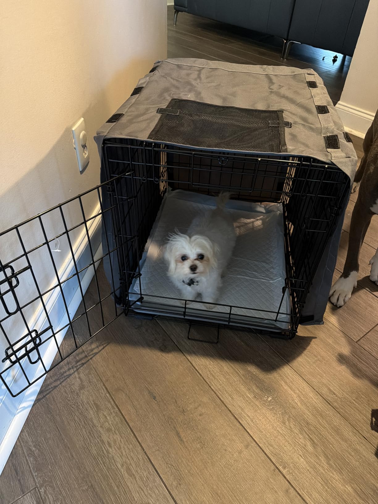 GORILLA GRIP Dog Crate Covers, Wire Kennel Topper, 42 in, Gray Black Paw customer photo 2