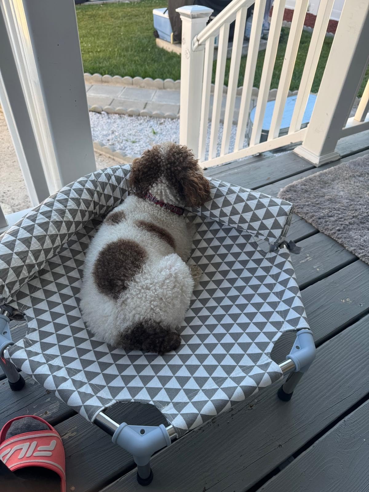 Kuntrust Elevated Outdoor Dog Bed, Medium Size, Cotton Material, Non-Slip Feet, Fits up to 70lbs | Breathable Fabric, Dual-Layer Cotton, Stainless Steel Frame, Anti-Slip Feet customer photo 2