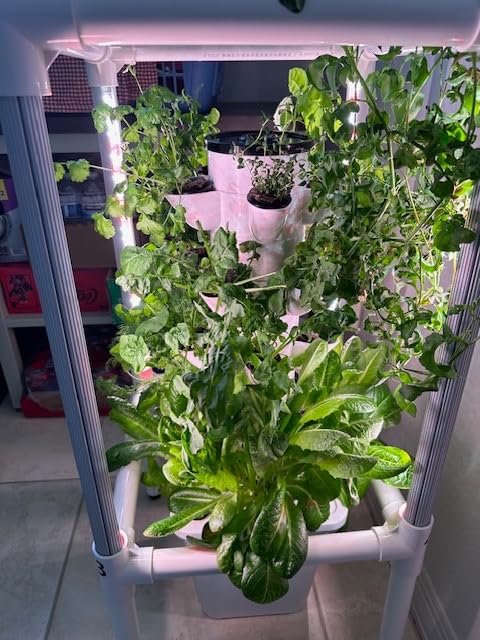 SJZX Hydroponics Growing System, Hydroponic Tower with Full-Spectrum Grow Lights, 5/14Tiers Indoor Outdoor Garden Planter, Vertical Home Gardening Germination Kits for Vegetables, Fruits, Herb (5L6H) customer photo 1