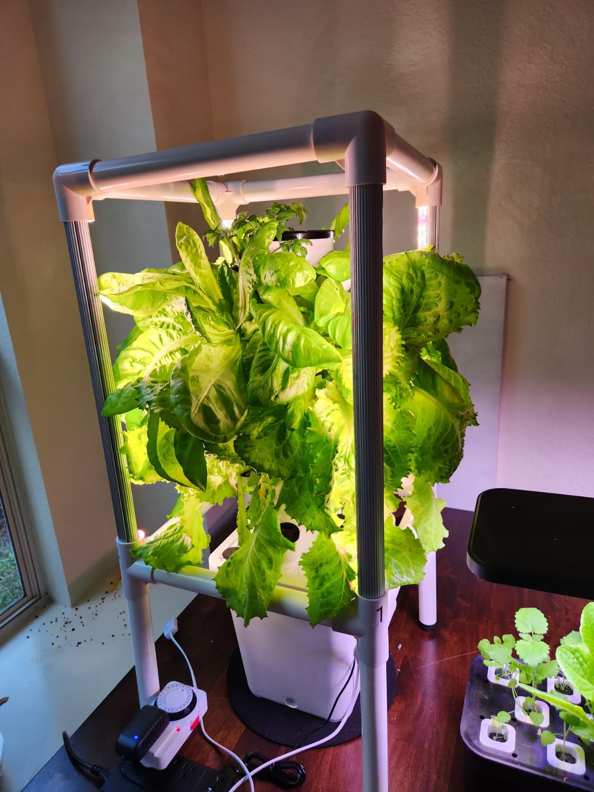 SJZX Hydroponics Growing System, Hydroponic Tower with Full-Spectrum Grow Lights, 5/14Tiers Indoor Outdoor Garden Planter, Vertical Home Gardening Germination Kits for Vegetables, Fruits, Herb (5L6H) customer photo 2