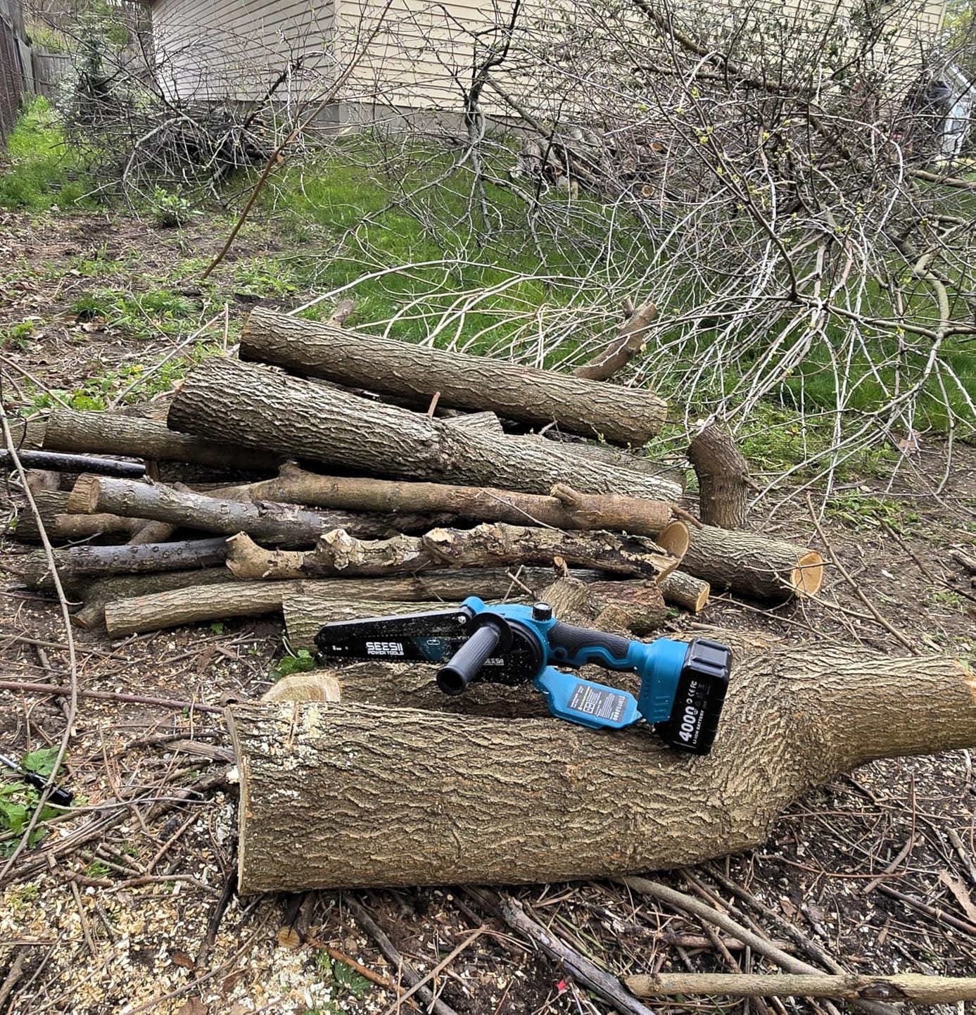 SEESII 2-in-1 Cordless 8 Inch Pole Saw & Mini Chainsaw, 2×4.0Ah Batteries | Brushless Chain Saw with Extension Pole, Long Reach Power Electric Polesaw for Tree Trimming Limb Branch Cutter customer photo 2