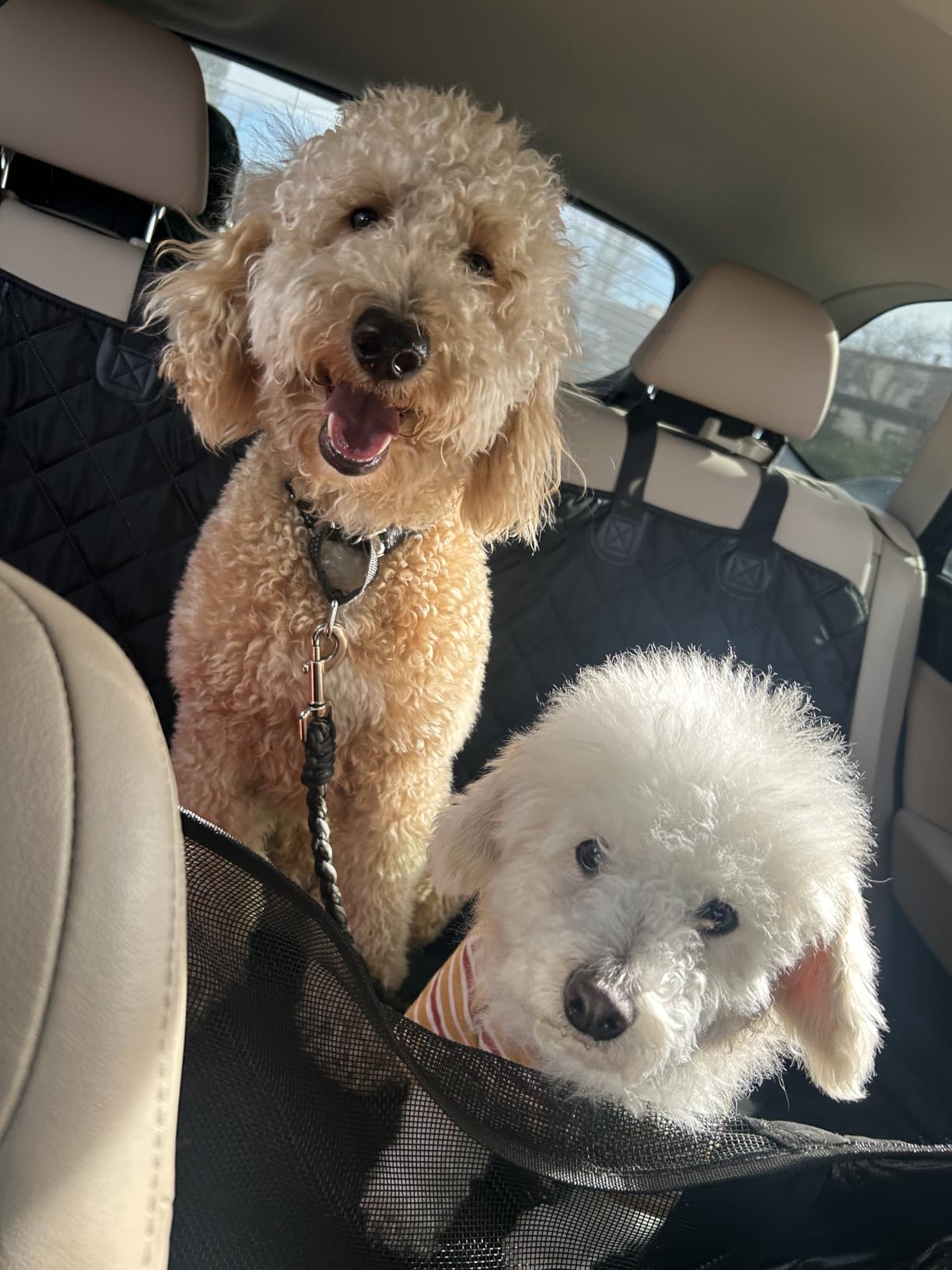 URPOWER Back Seat Extender for Dogs, Large Hard Bottom Dog Car Seat Cover | 550 lbs Support, Adds 45% More Space, High Density Foam Padding, Waterproof 900D Oxford Heavy Duty Dog Hammock for Car SUV customer photo 1