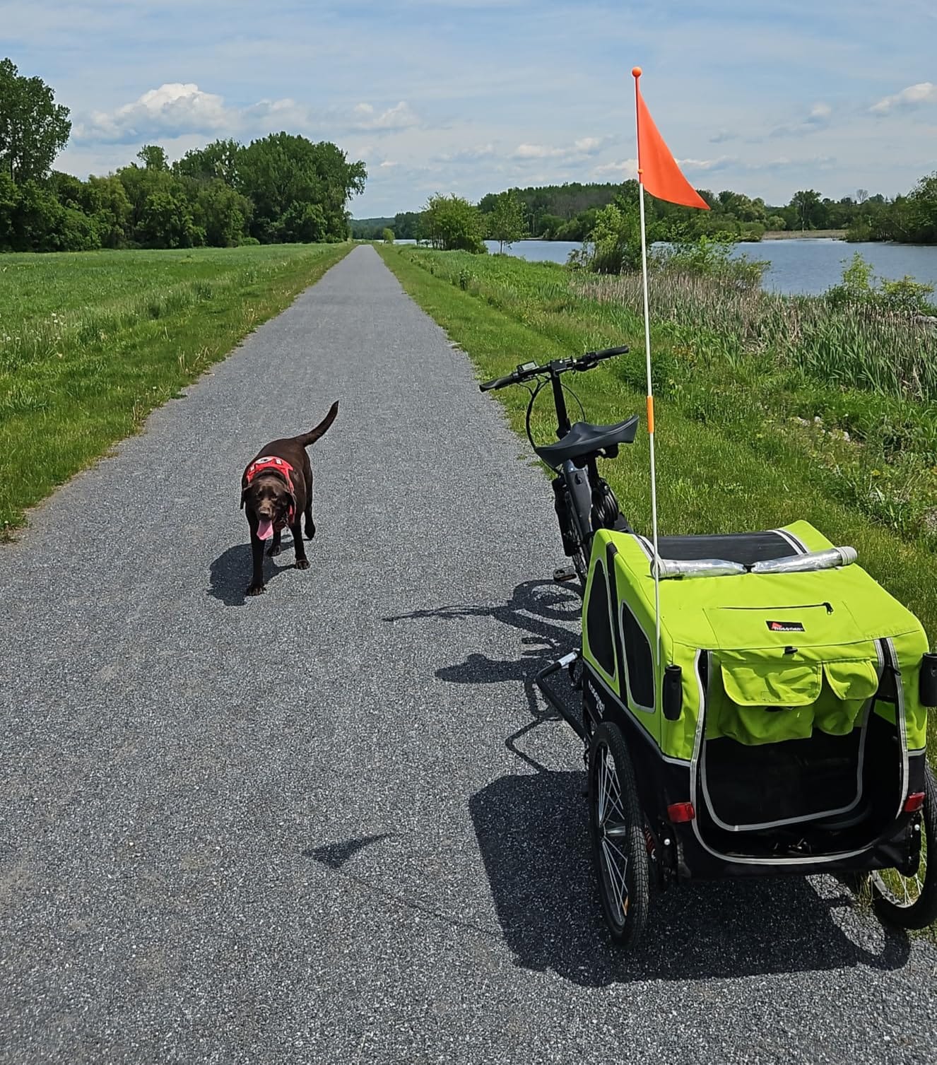 DOGGYHUT S-Line XL Pet Bike Trailer & Stroller for Large Dogs Up to 100 lbs, Folding Dog Cart with Shock-Absorbing Suspension Wheels, Low Center of Gravity, Parking Brakes customer photo 1
