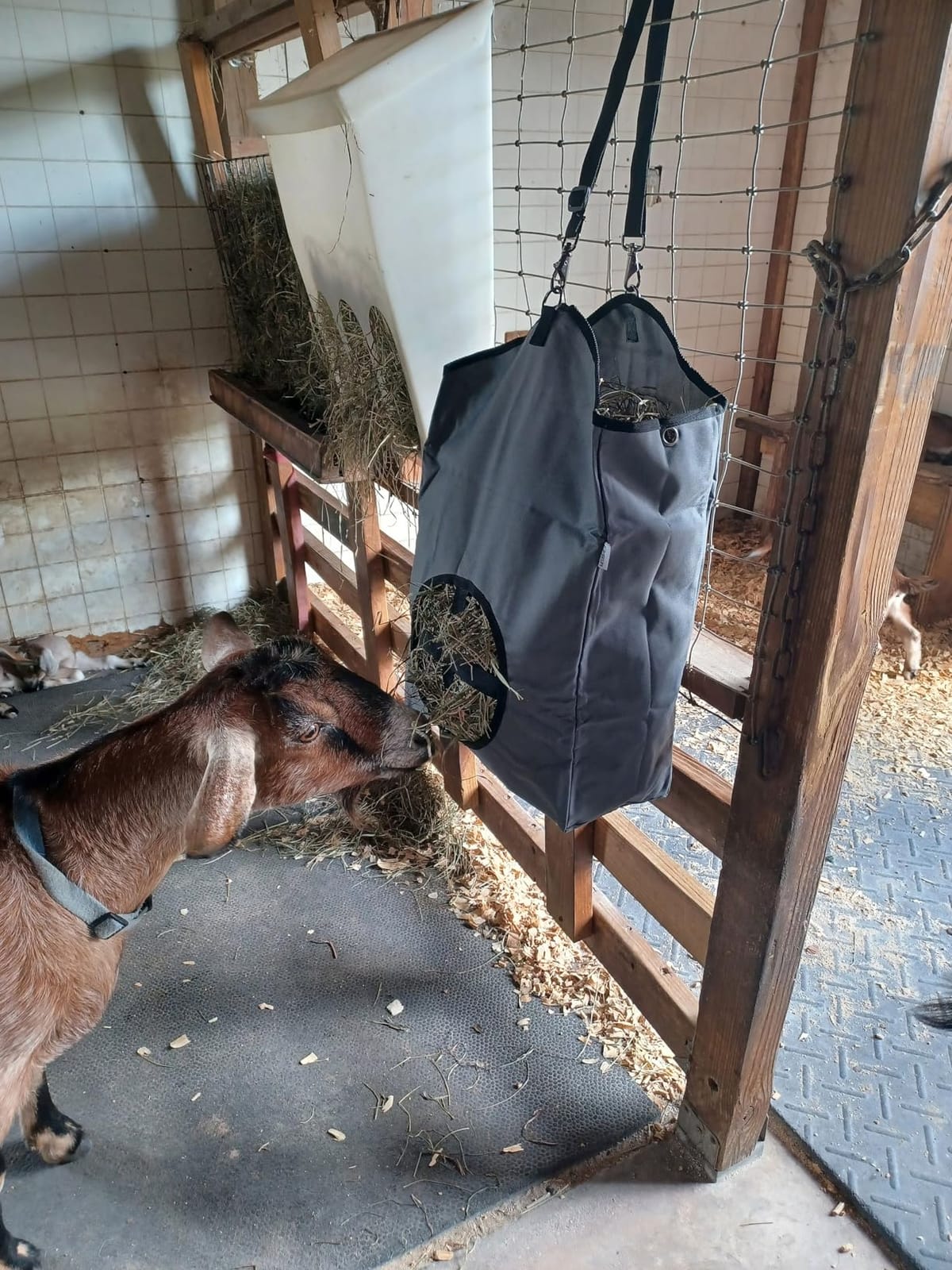 3 Packs Goat Hay Feeder, Hay Bags for Goats, Horses, Sheep | Premium 600D Oxford Cloth with Metal Fastener and Adjustable Open Feed Hole for Slow Feeding customer photo 1