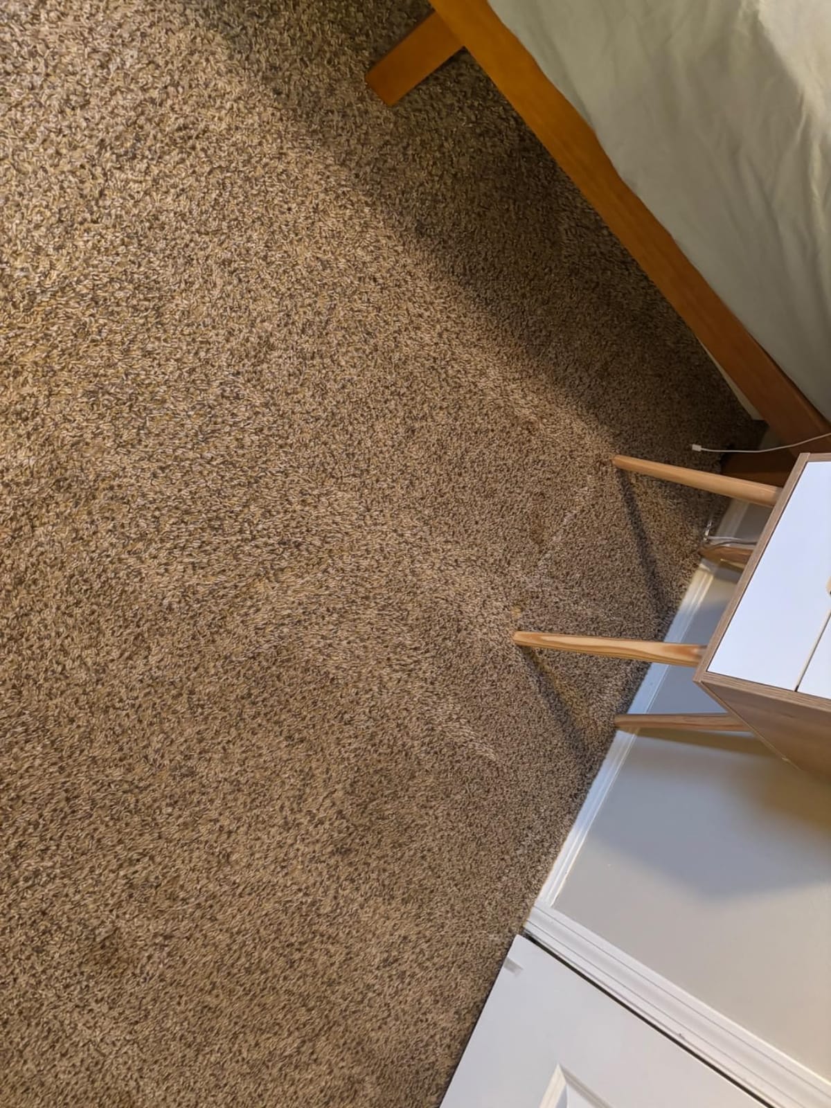 BISSELL TurboClean Pet XL Upright Carpet Cleaner, 3746 | XL capacity for large cleaning jobs; pet hair pickup customer photo 1