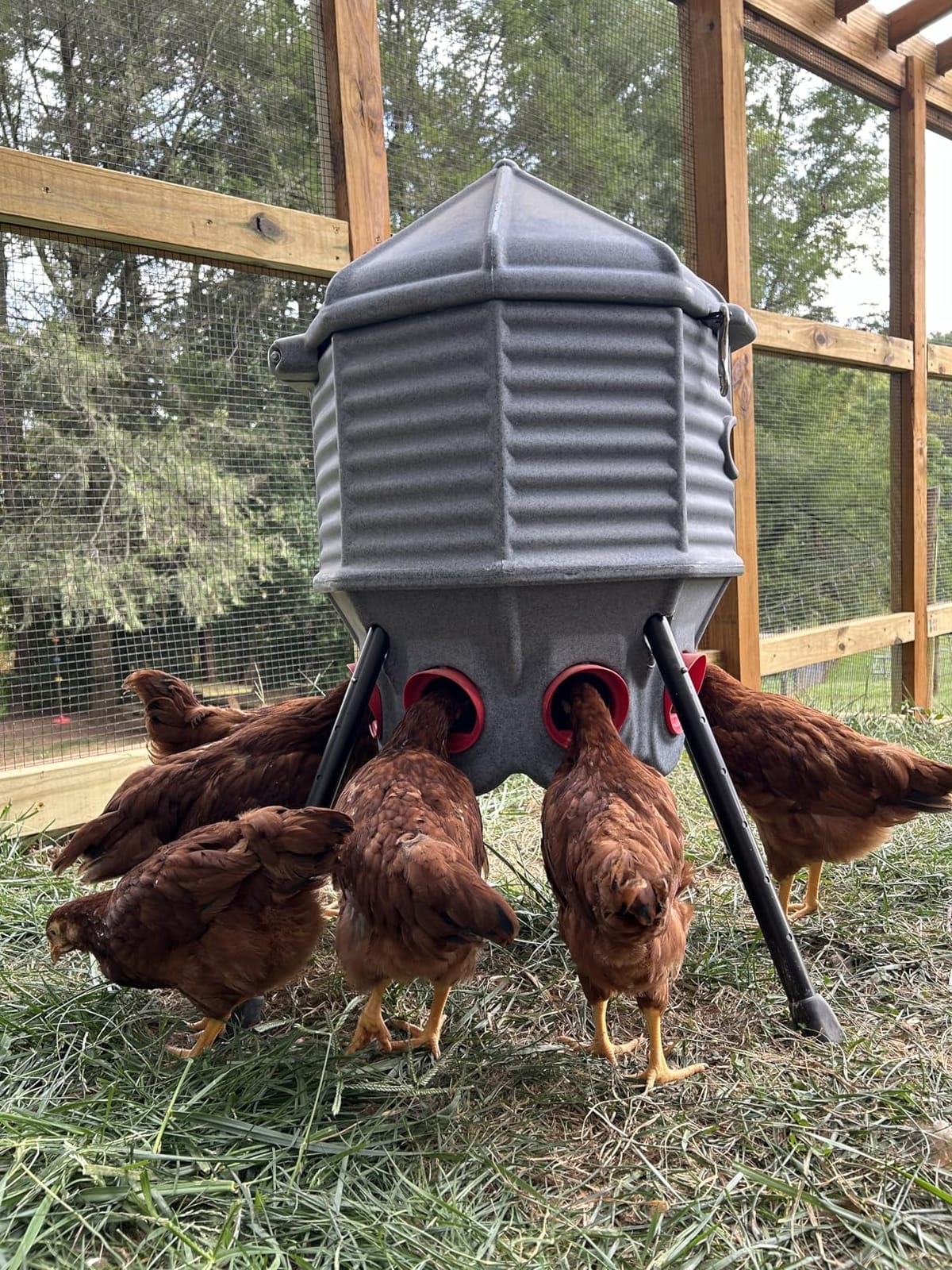 CoopWorx Poultry Feeder - 80 lb Capacity - Adjustable Height - UV Stable - Weather Resistant - 8 Feed Ports - Silo Shaped Design - Rust-Proof - Intended for Chickens/Ducks/Turkeys - Made in USA customer photo 1