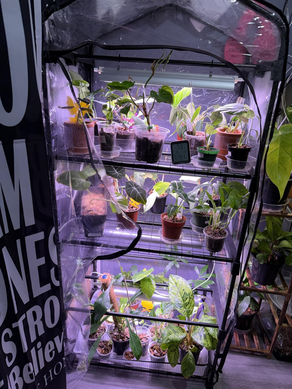 Indoor Greenhouse with Grow Light, 4-Tier Shelf, 26.4x19x61in | 1.6FT T5 Grow Light for Seedlings, Waterproof PVC Tent with Zipper Door, Plant Stand with 80W Full Spectrum Light, Timer customer photo 2