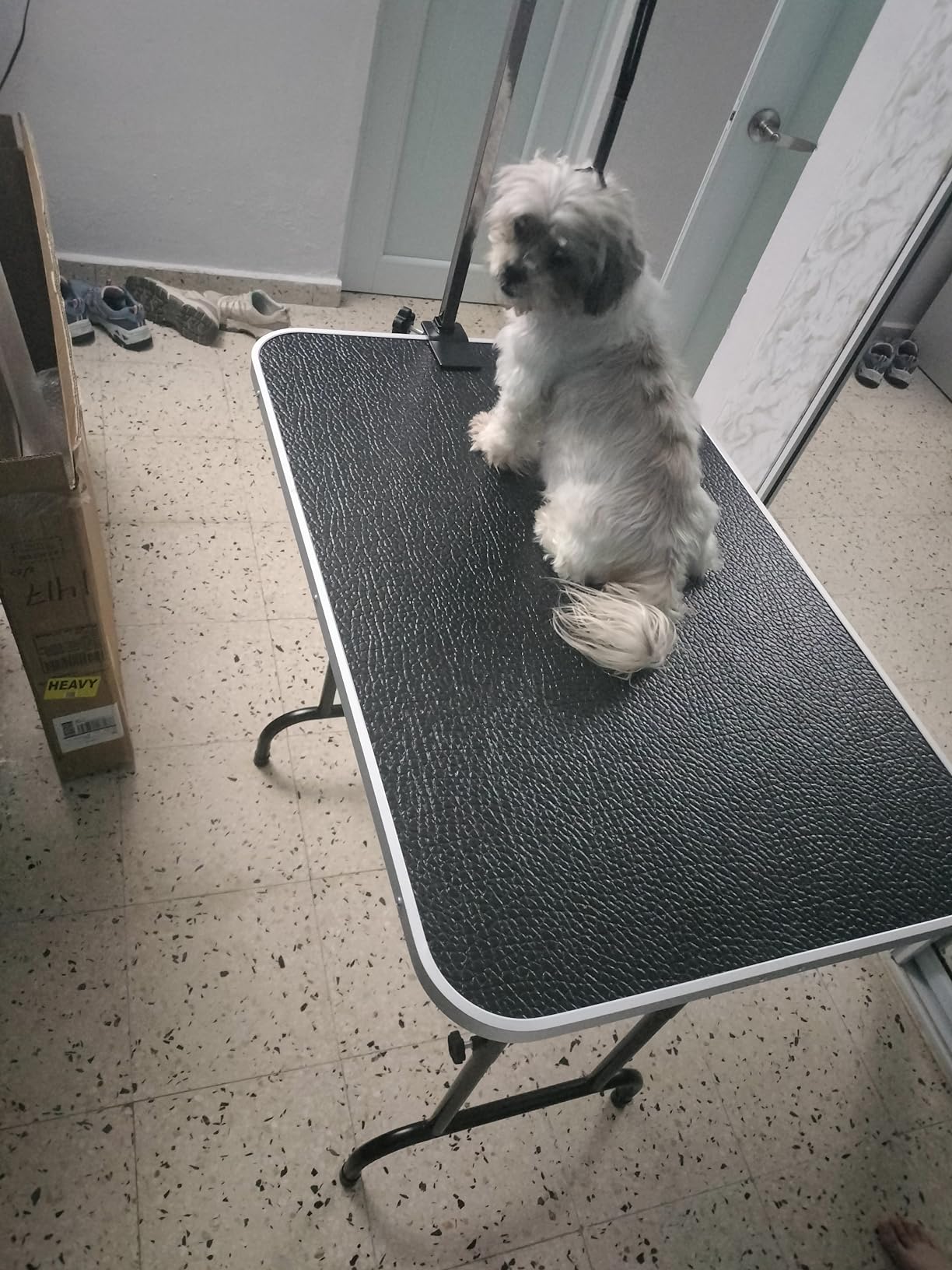LEIBOU 45'' Height Adjustable(23''~33.8'') and Foldable Pet Dog Grooming Table Heavy Duty Iron Frame with H-Shape Grooming Arm & Noose, Maximum Capacity Up to 260lbs customer photo 2