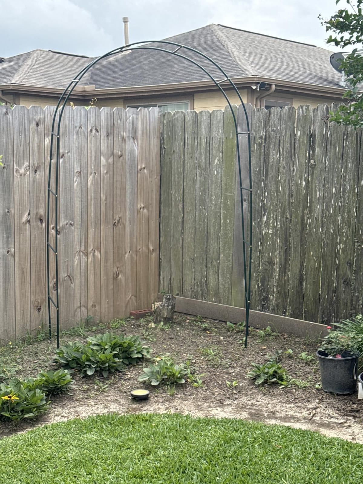 RUBFAC 7.8ft Garden Arch, Metal Trellis for Climbing Plants Outdoor | Black Garden Arbors, Plant Stand Outdoor Archway Frame for Backyard Decor, Halloween Christmas Fall Party Decorations customer photo 2