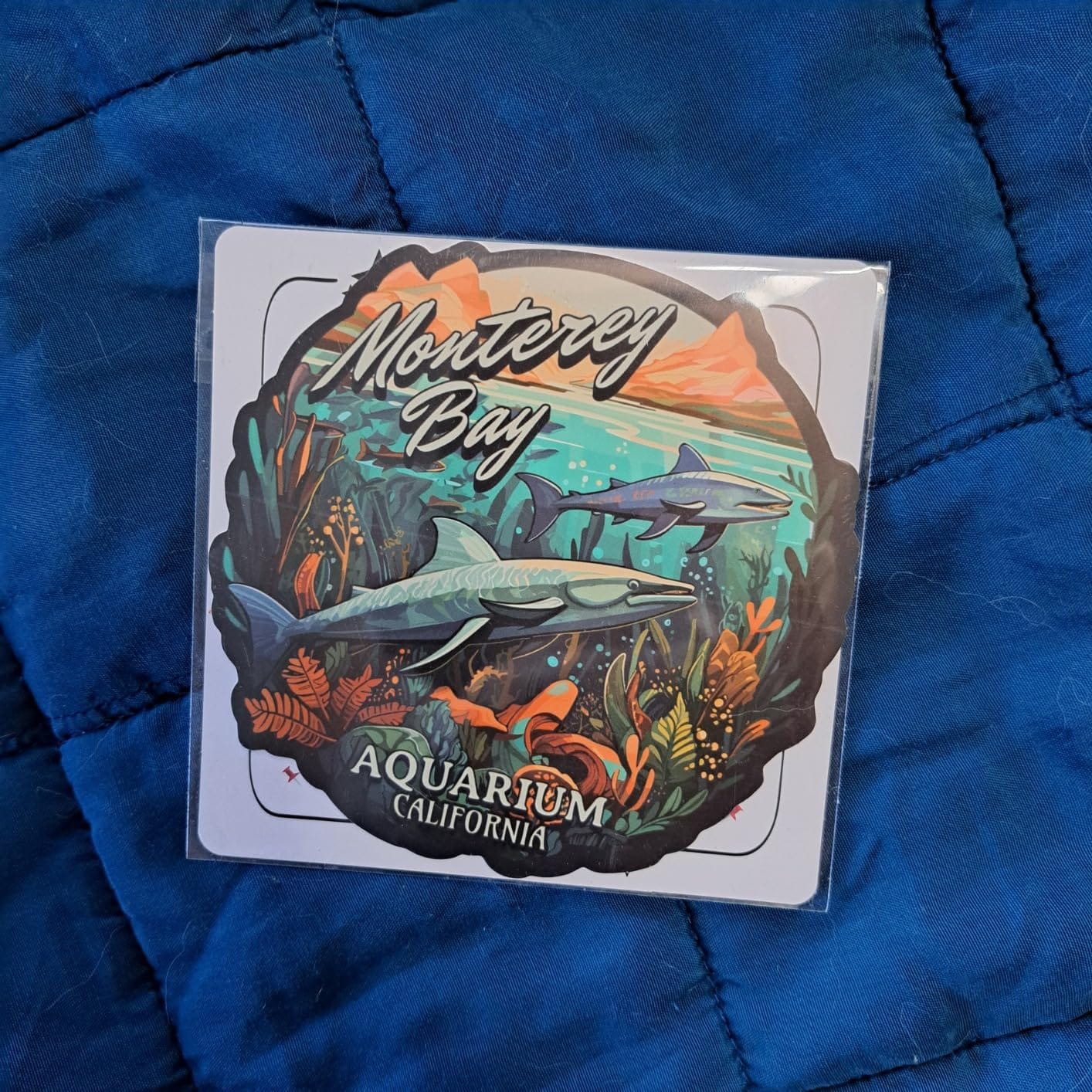 Monterey Bay Aquarium California Sticker 4 Inch ID44990 | Great for laptops, luggage, water bottles & car windows - travel souvenir gift for adventurers & teens customer photo 1