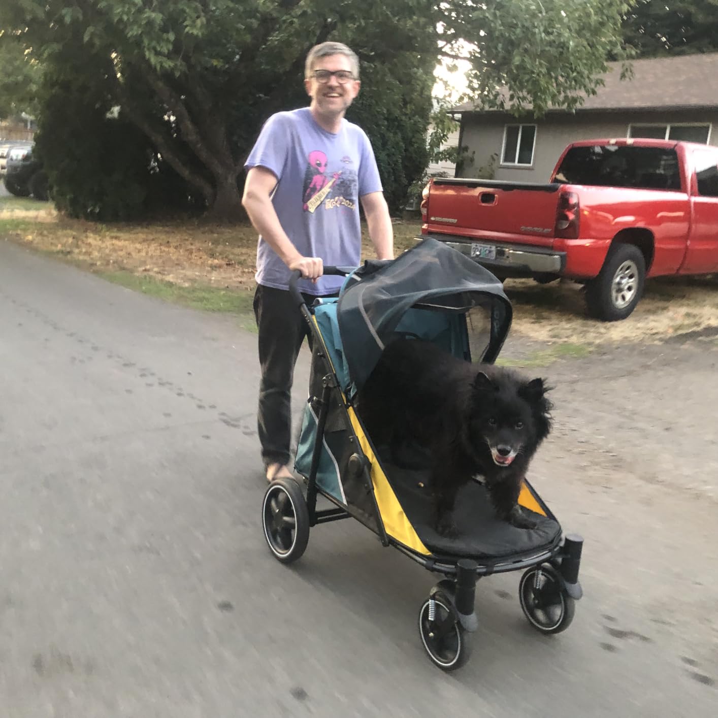 Petbobi Dog Stroller for Large Medium Dogs up to 80 lbs, Dual Entry | One-Hand Fold, One-Foot Brake, All Terrain 360 Swivel Front Wheel, Heavy Duty Air Mesh Wagon, Low Step-In for Senior Pets customer photo 2