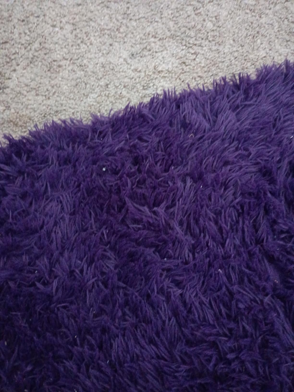 Area Rug for Bedroom, Fluffy Shag Plush 3x5 Cream Rugs for Living Room Girls, Shaggy Throw Soft Fuzzy Small Kids Carpet for Dorm Bedside Ultra Cozy Non-Slip Indoor Decor customer photo 1