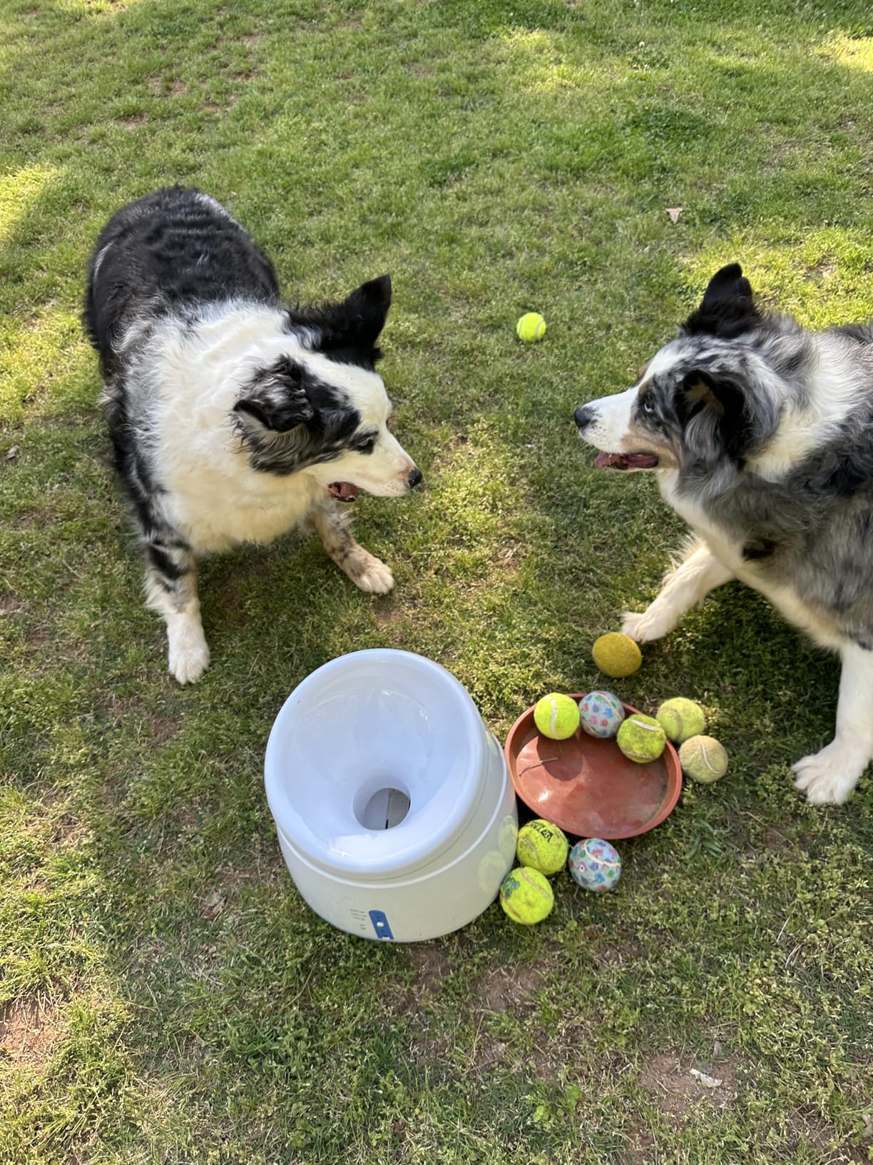 Pet Prime Dog Automatic Ball Launcher for Large Dogs Ball Thrower Machine Outdoor Indoor Use Interactive Dog Toy Adjustable Distance 10-40ft - Included 6 PCS 2.5