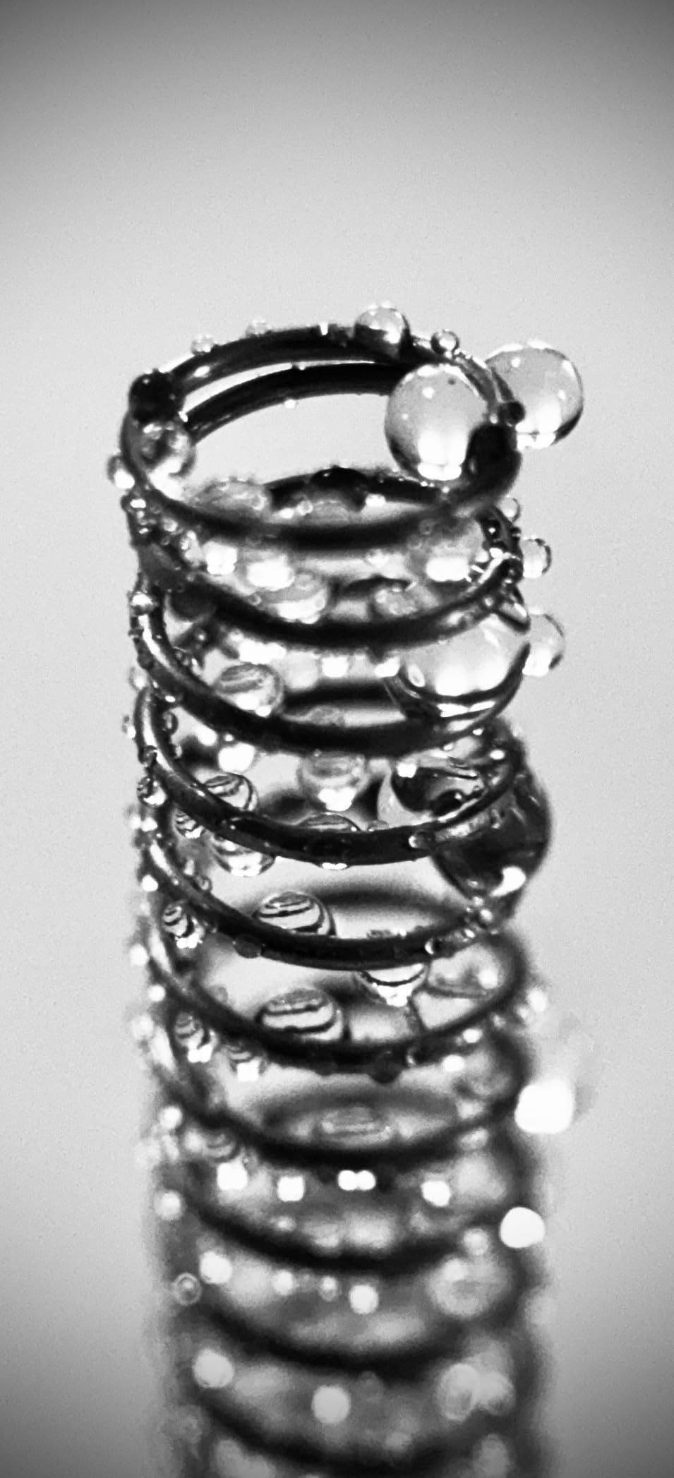 Shiftcam | LensUltra 75mm Long Range Macro Lens - 10x Magnification, 70-100mm Focus Distance - Perfect for Close-Up Photography, Stunning Depth of Field, Fine Details, Premium Design customer photo 1