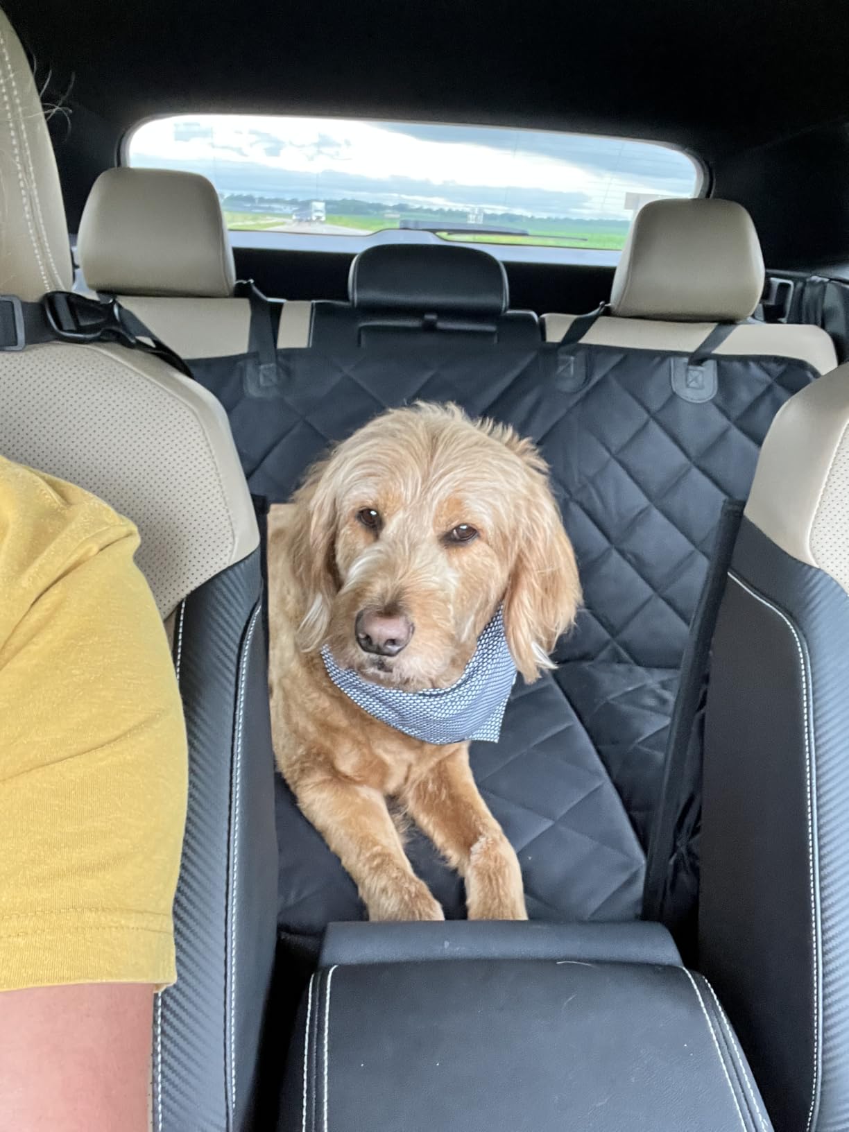Hard Bottom Dog Car Seat Cover for Back Seat, Back Seat Extender | Dog Hammock for Car, SUV, Sedan, Holds 420lbs, Large Space, Sturdy Oxford, Waterproof, Mesh Window, Anti Scratch, Non-Slip customer photo 1