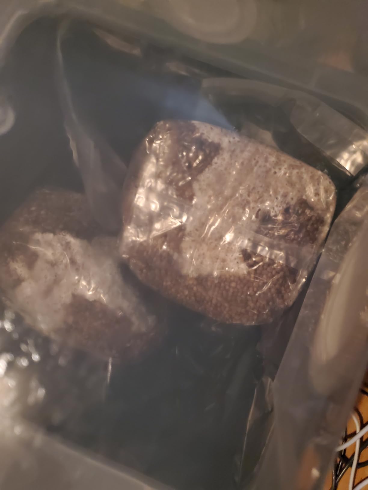 Myco Labs Grower's Select Mushroom Monotub Fruiting Chamber with Filter Disks and Liner customer photo 1