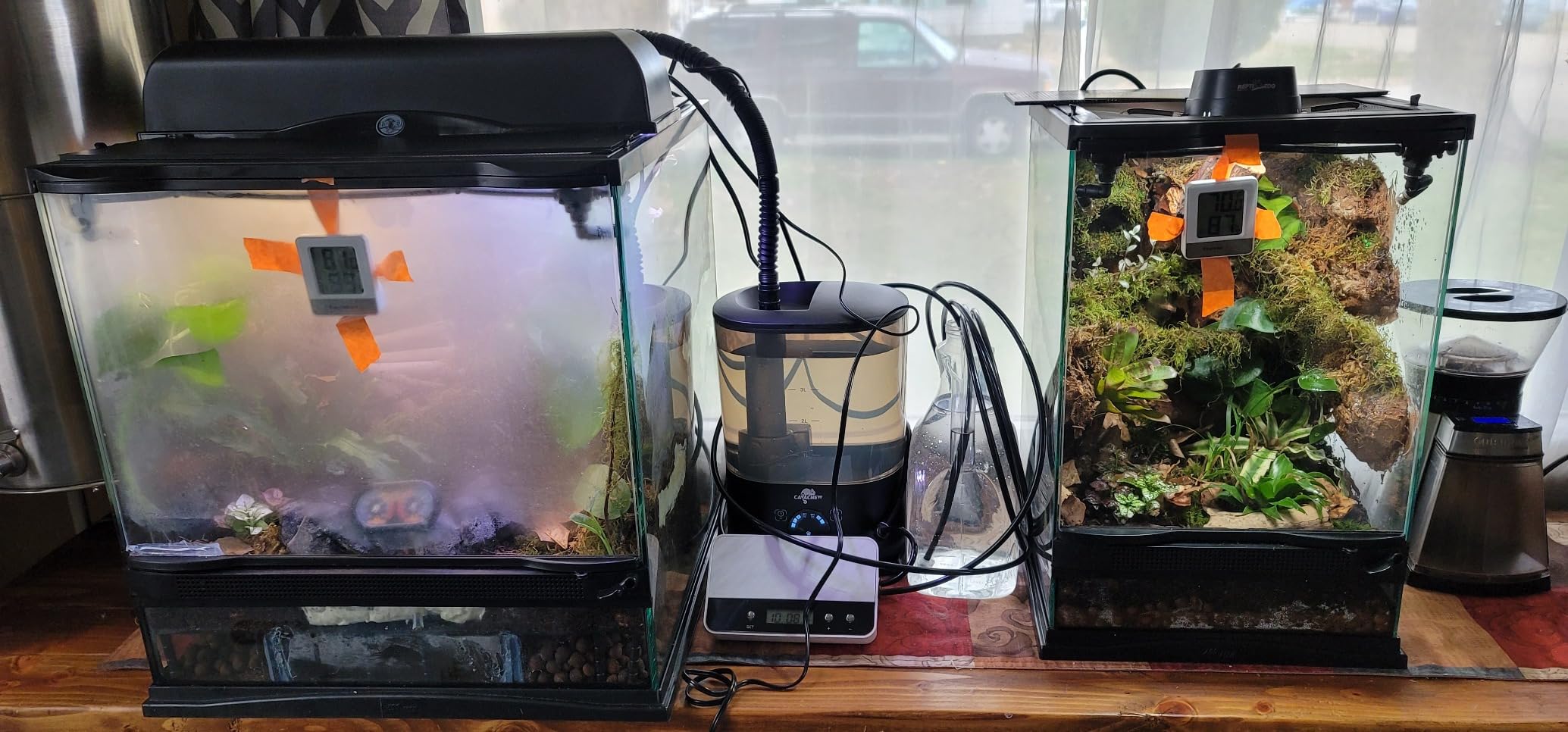 Reptile humidifier, LCD with Timing Function, time Length and Interval can be Set, Reptile Spray System with 6 Spray nozzles, misting System for Reptiles of Amphibians, Tanks, Paludarium customer photo 1
