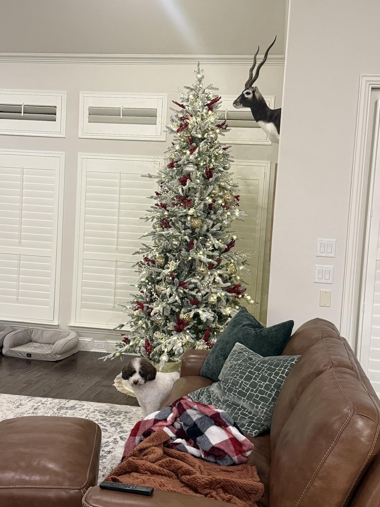 Best Choice Products Lighted Aspen Christmas Tree, 7.5ft Flocked Artificial Noble Fir, Pre-Lit White & Multicolored LED Lights Premium Holiday Decor customer photo 2