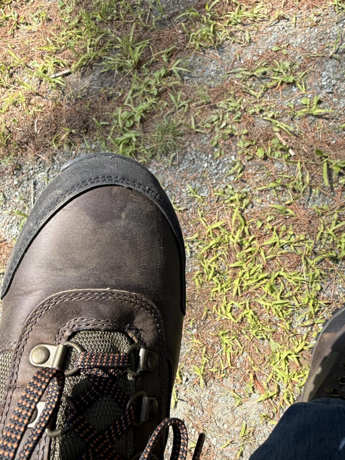 Timberland PRO mens Keele Ridge Steel Safety Toe Waterproof Industrial Hiking customer photo 1