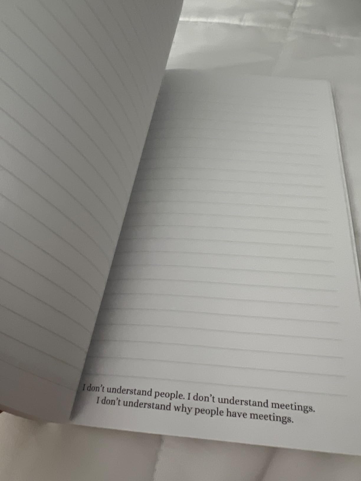 Things I Can't Say Out Loud In Meetings: Funny Notebook for Work, Gag Gift, Boss, Office, Secret Santa Gift for Coworker (Lined Journal with Quotes) customer photo 2