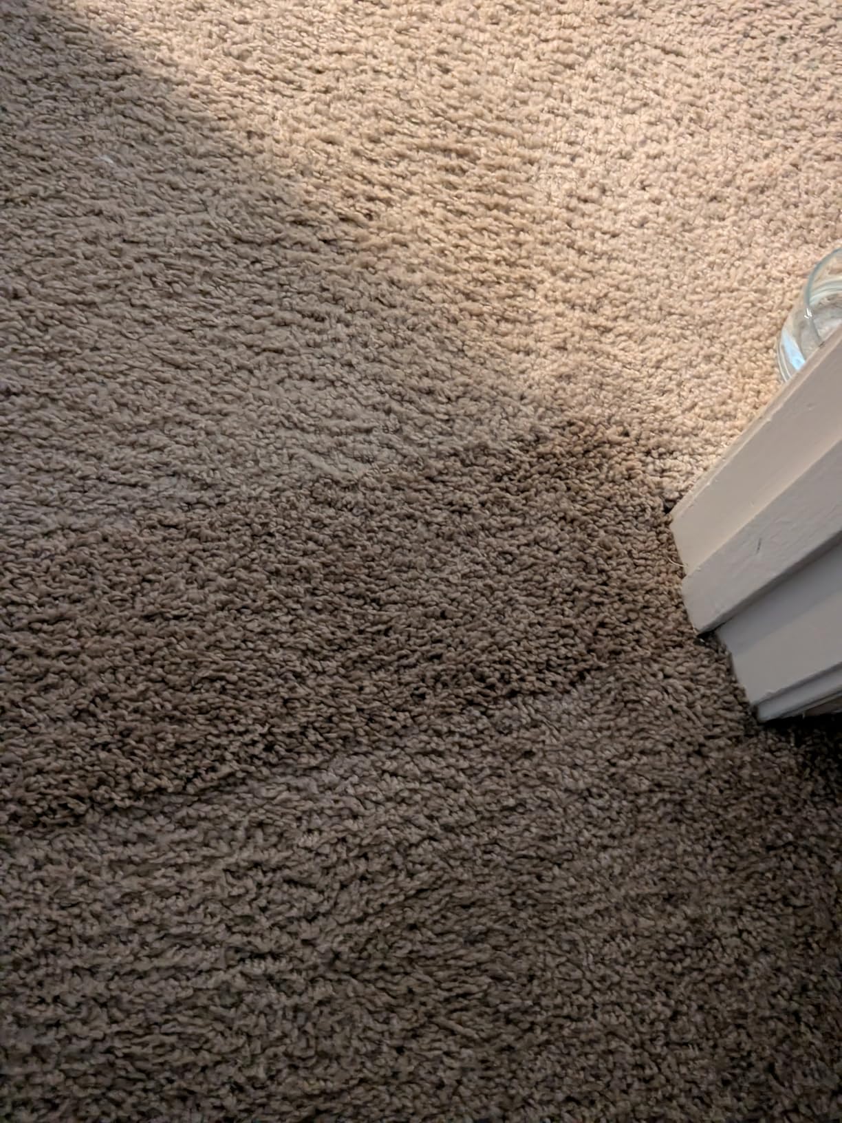 Carpet Seaming Iron Kit 800W with 66ft Seam Tape and Roller - ZY377 customer photo 1