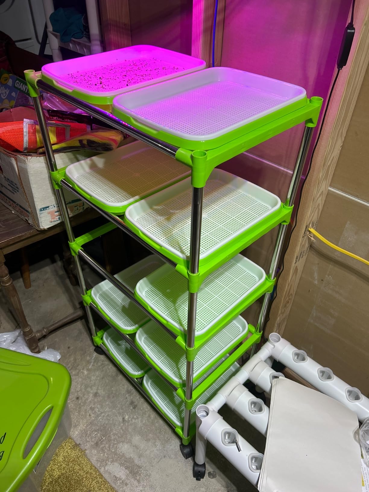 Menkxi 5 Layers Seed Sprout Tray Shelf Microgreens Growing Kit 10 Pcs Healthy Wheatgrass Seeds Grower with Drain Holes and 60 Sheets Germinating Paper for Garden Home Office customer photo 1