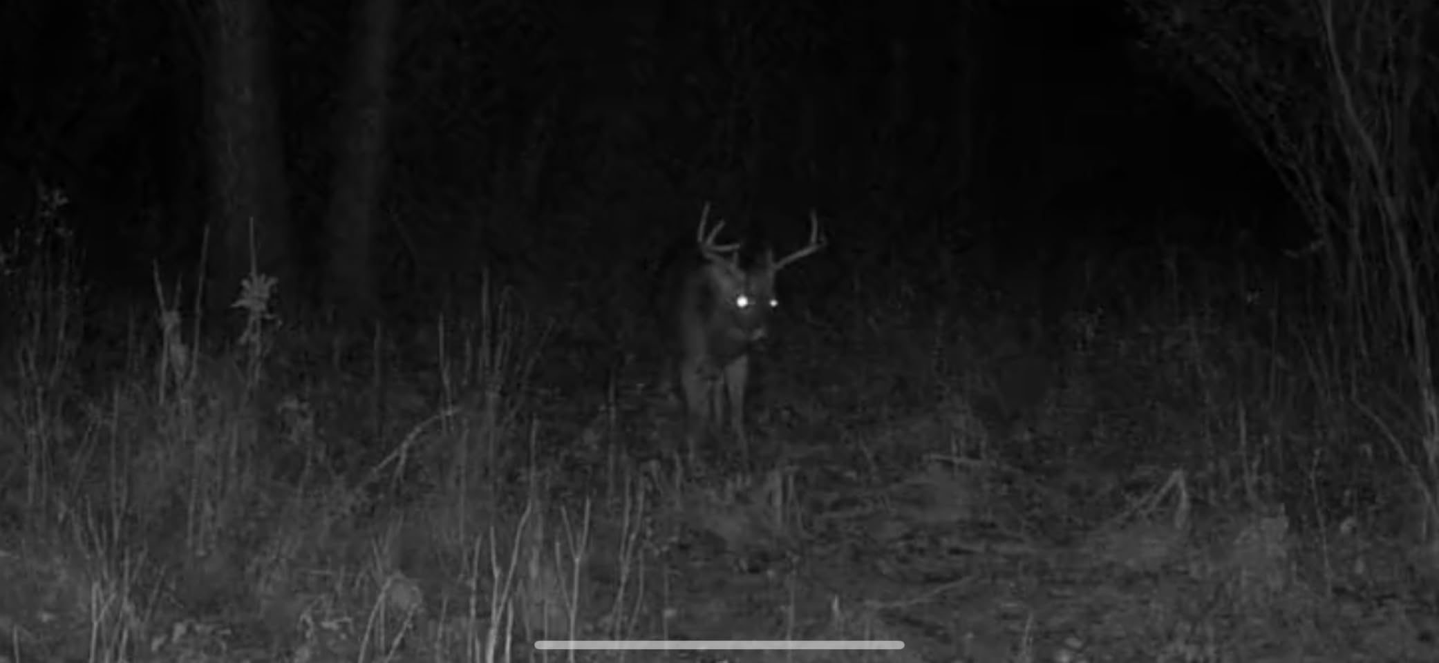 SEHMUA Trail Camera, AI Animal Detection Cellular Trail Cameras, Live Streaming Game Camera Built-in 4G LTE SIM Card with Unlimited Data Plan, Motion Activated 0.2s Trigger Trail Cam IP66 Waterproof customer photo 1