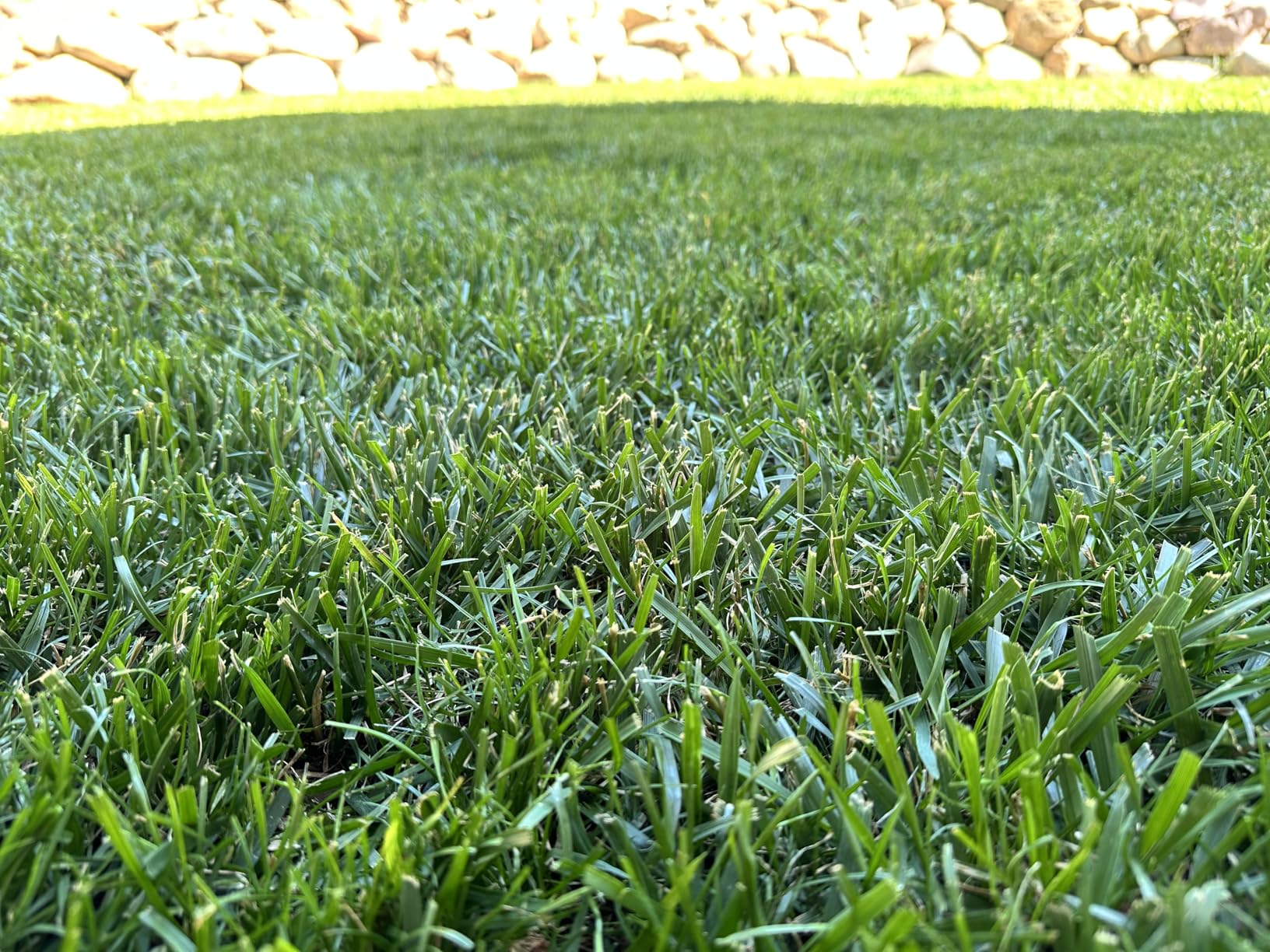 Greenworks 80V 21 in Self-Propelled Lawn Mower, 4.0 Ah Battery and Charger customer photo 2