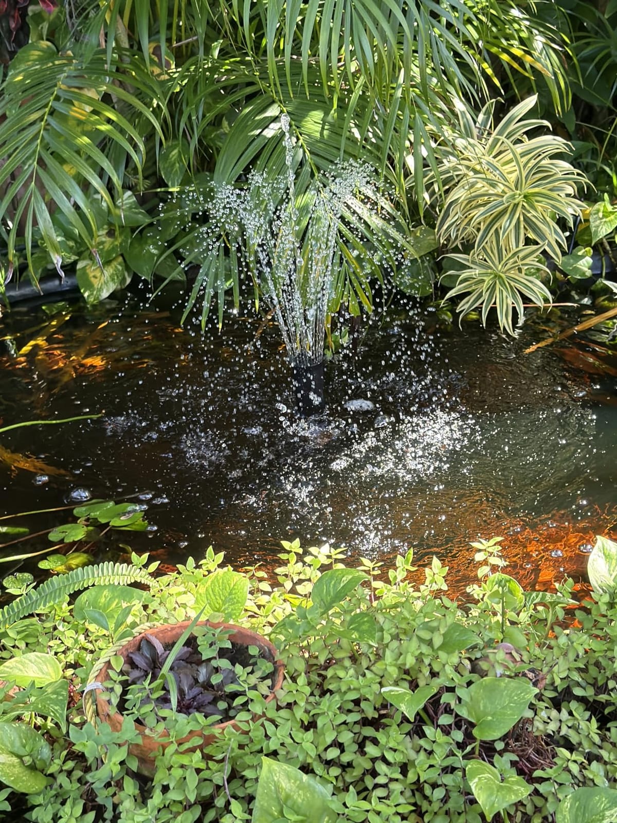 VIVOHOME All-in-One Pond Filter Fountain Kits, 790GPH Pond Pump for Pond | Multi-Stage Filtration, 33ft Power Cord, 13W Light, Outdoor Water Features, Ponds Up to 1320gallons customer photo 2