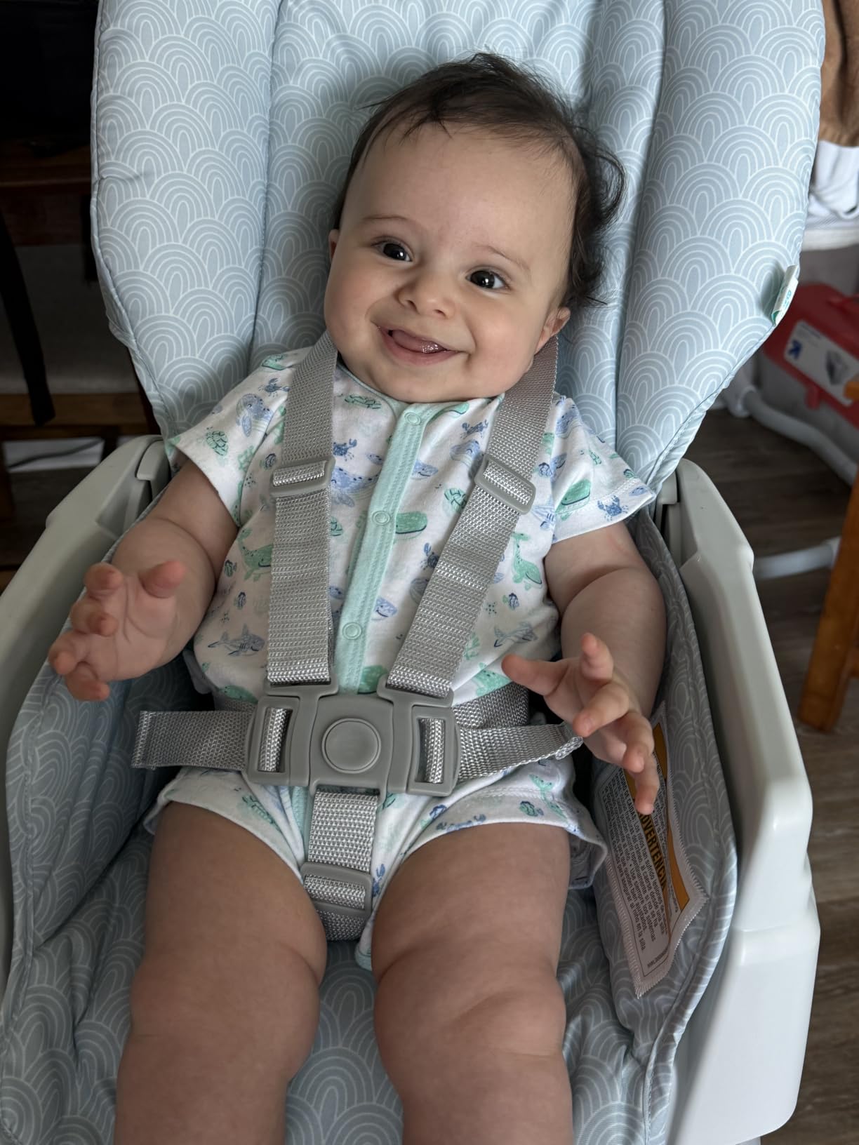 Graco Made2Grow 5-in-1 Convertible Highchair Adjustable Baby to Toddler Seat, Hudson customer photo 1