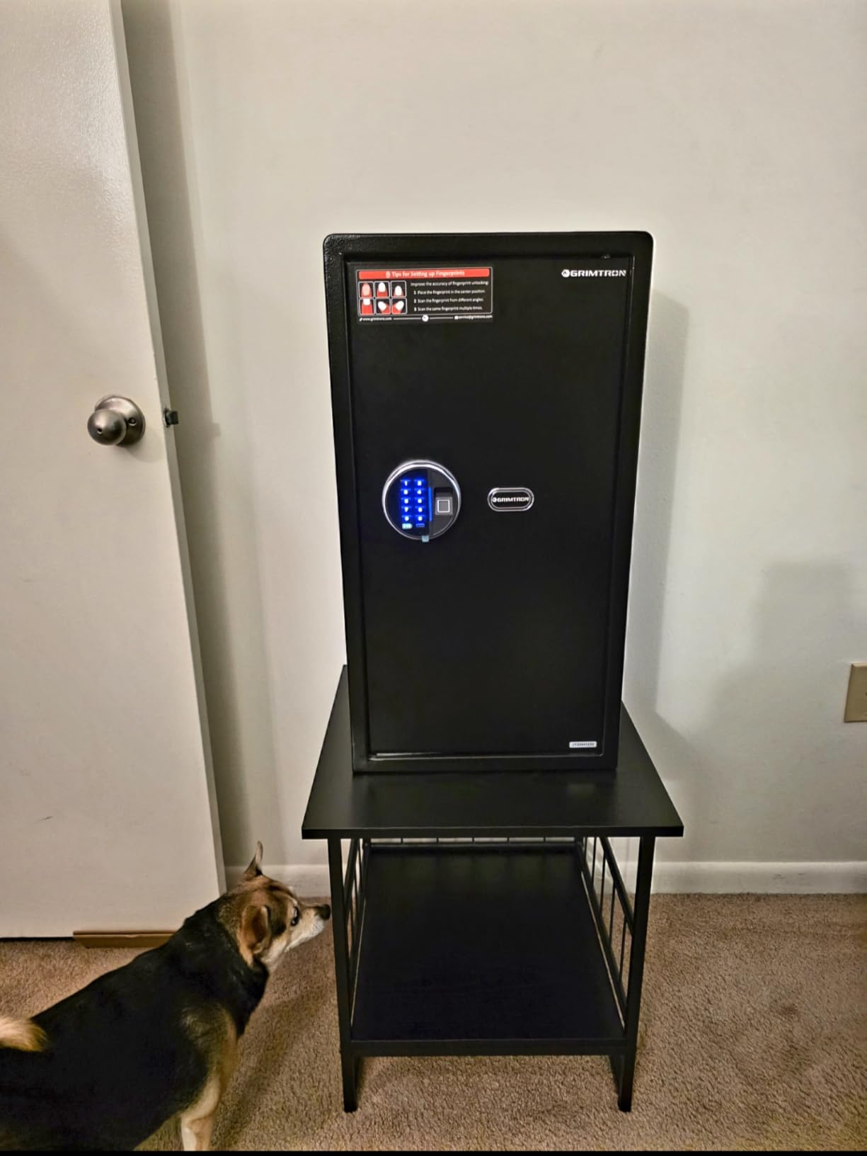 32LB Biometric 4 Pistols Safe with Fingerprint Lock, 3-8 Digit PIN - 2-in-1 Storage for 4 Pistols and Valuables, 1.71 Cu Ft Capacity, 30 Fingerprints customer photo 1