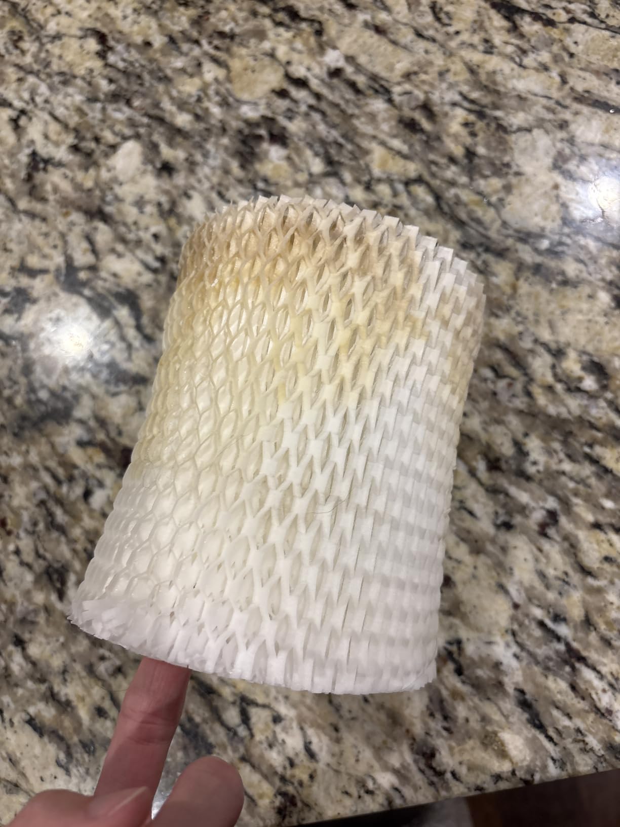 Canopy Original Bedside Humidifier Filter, 3-Pack, 6-Week Replacement customer photo 2