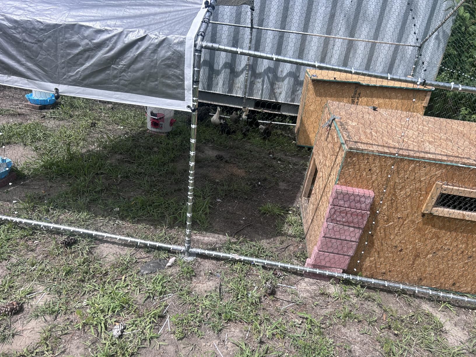 NUGRIART Large Metal Chicken Coop Walk-in Poultry Cage with Water-Resident and Anti-UV Cover Duck Rabbit Cat House Outdoor Chicken Run Pen with Spire Shaped Cage customer photo 1